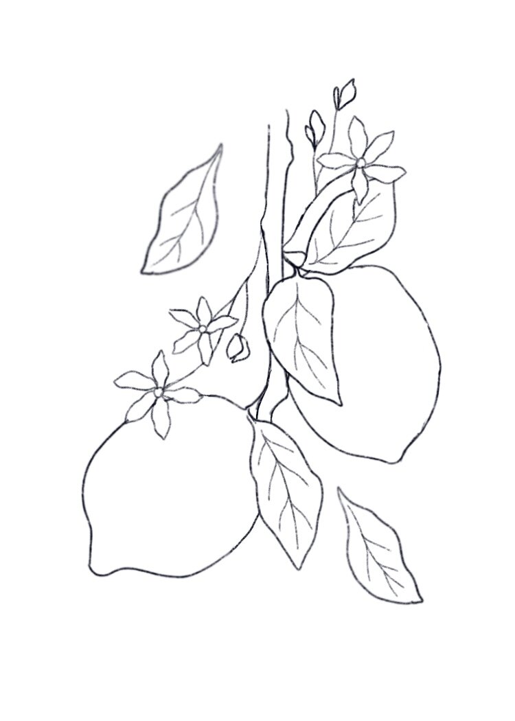 How to Paint a Watercolor Lemon Branch | Watercolor Fruits Tutorial ...