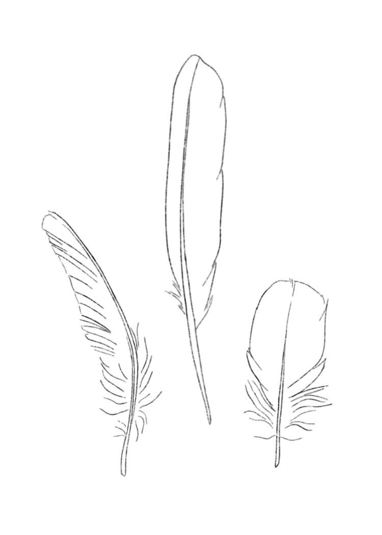 How to Draw a Feather