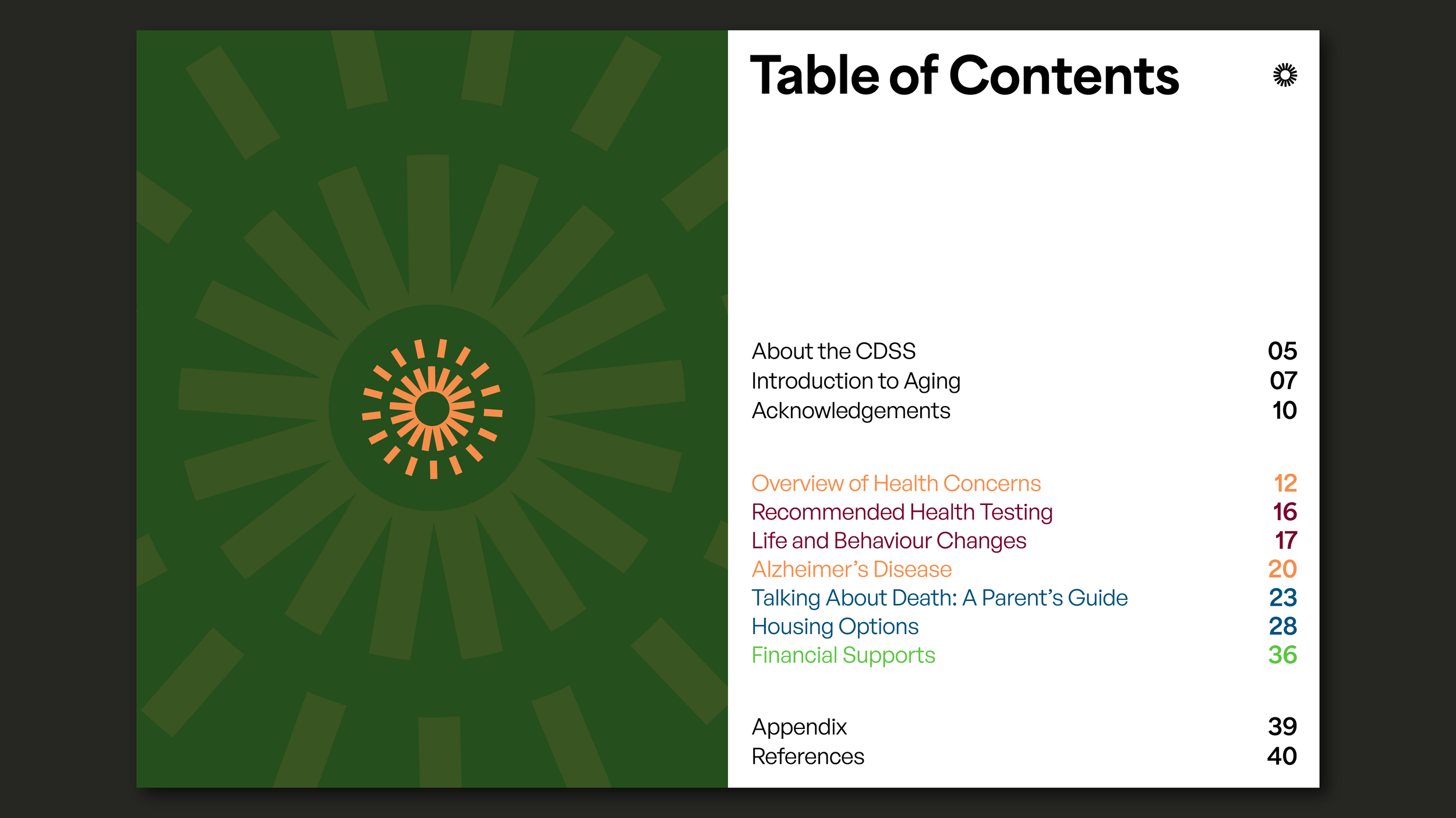 CDSS HA Proposal-14.png