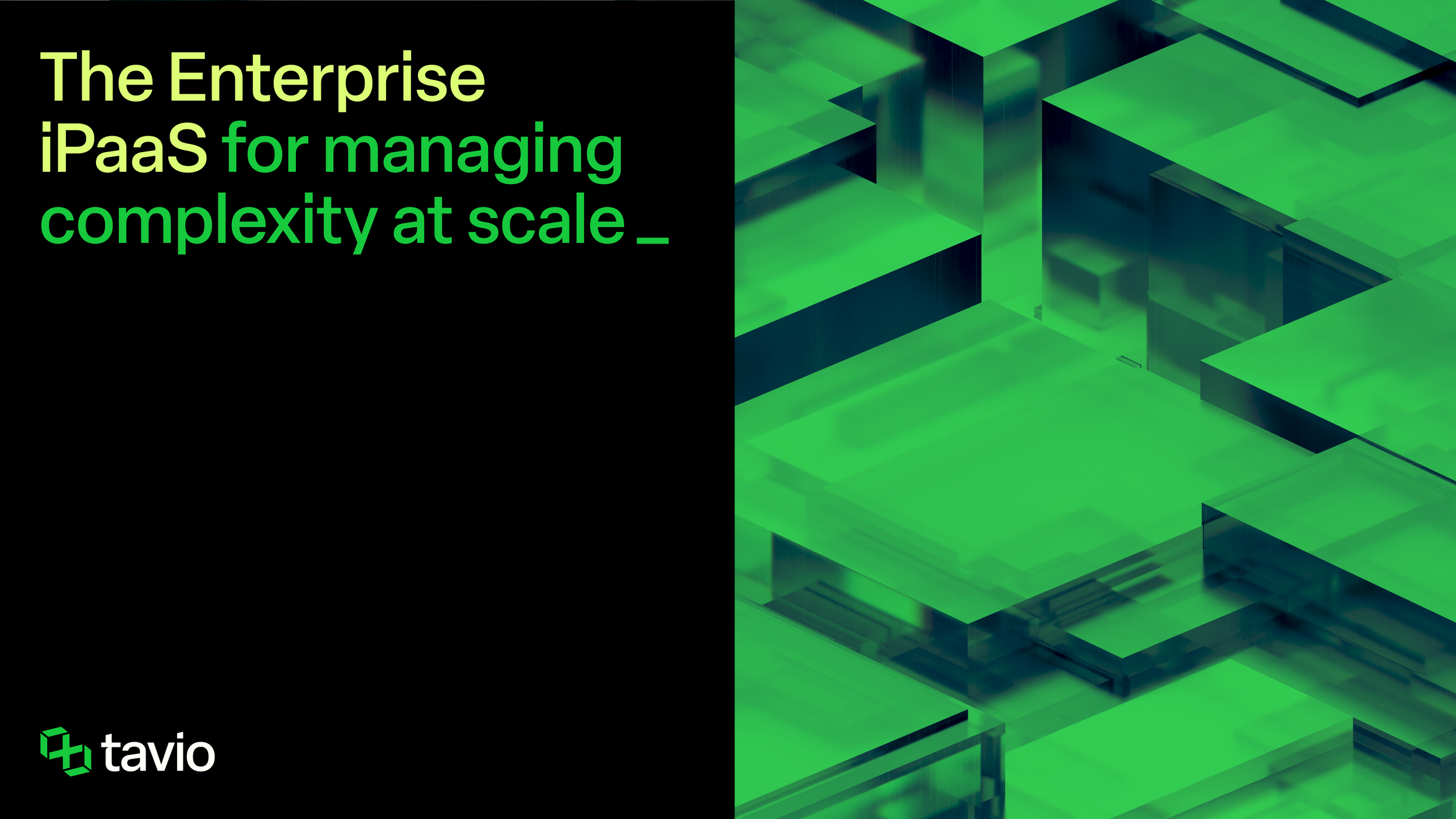 Tavio – 2026 CS Exports-08.png