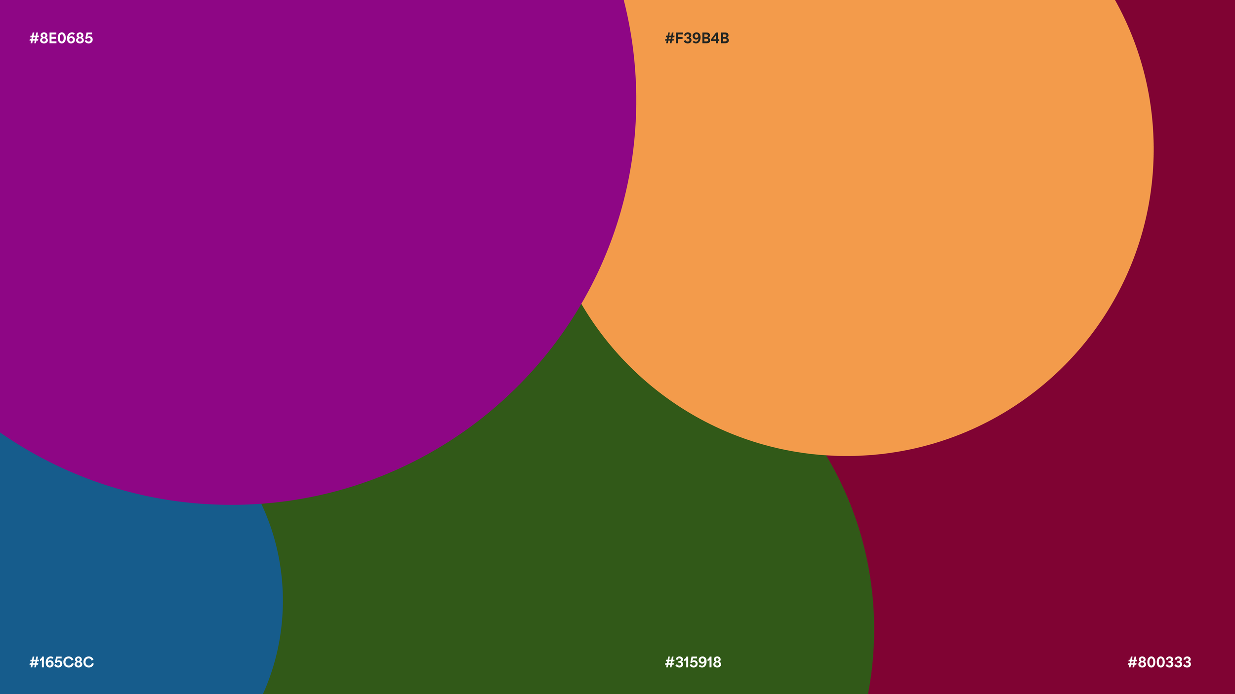 CDSS – 2026 CS-02.png