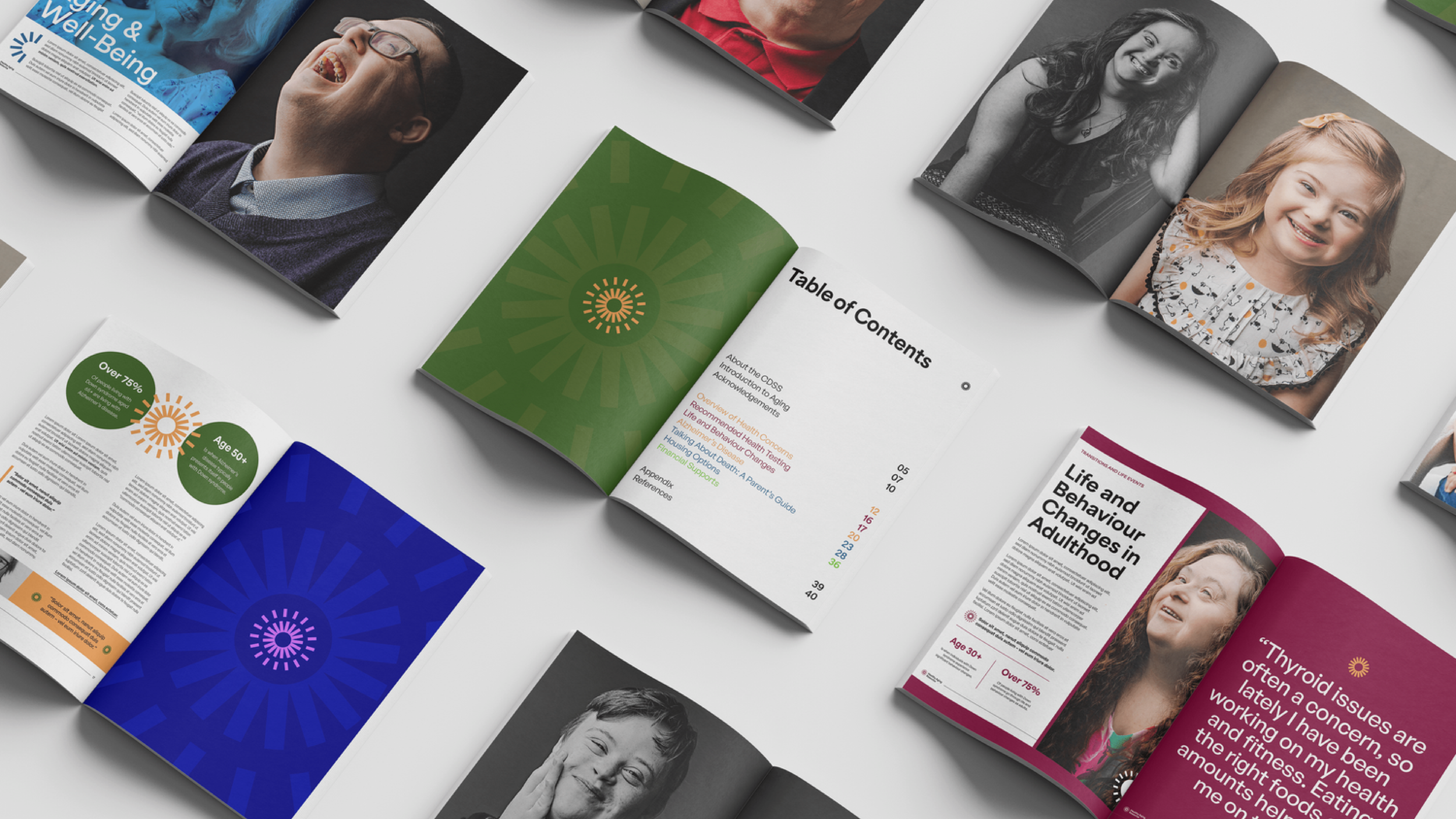 CDSS – 2026 CS-05.png