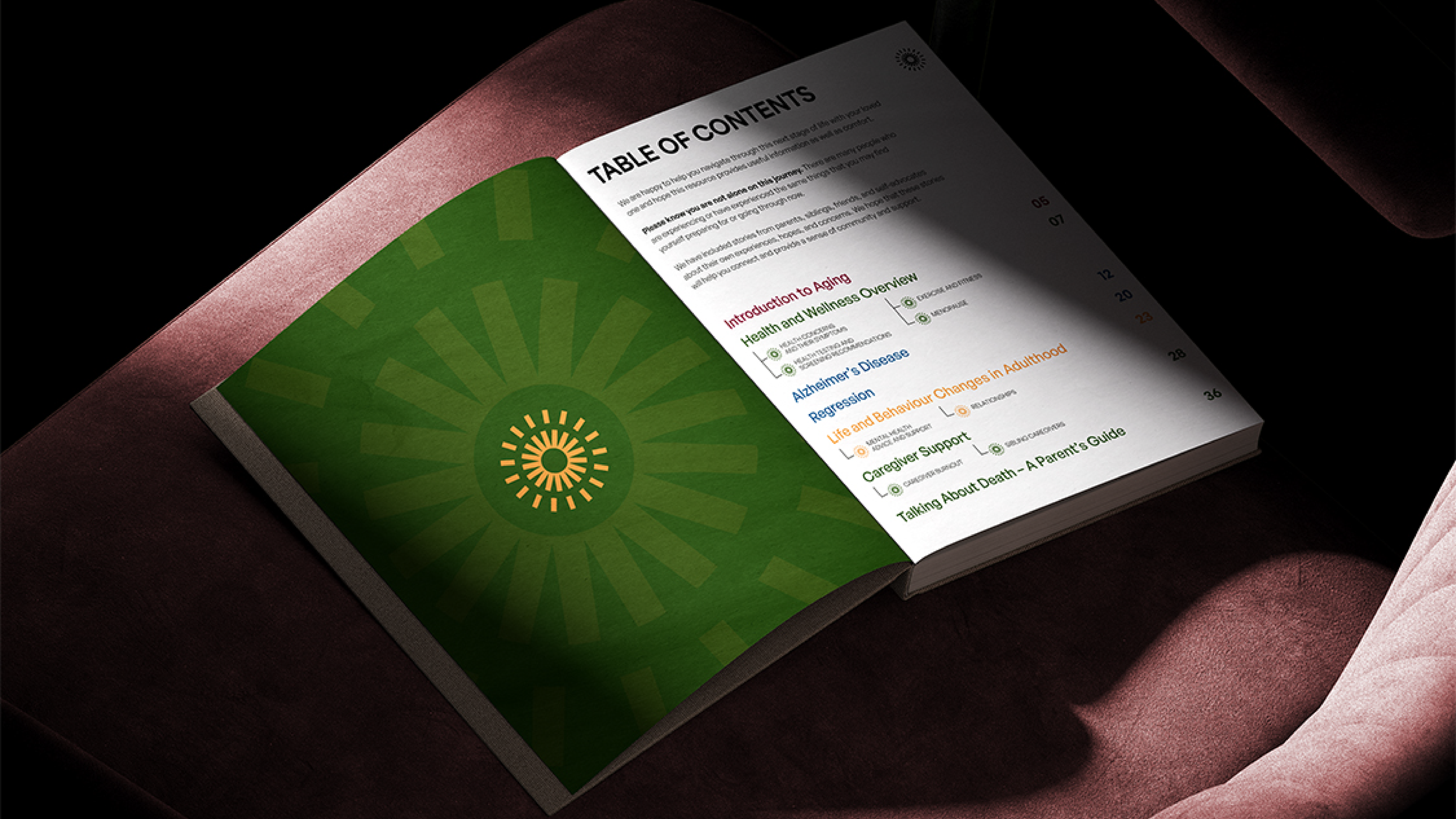 CDSS – 2026 CS-07.png