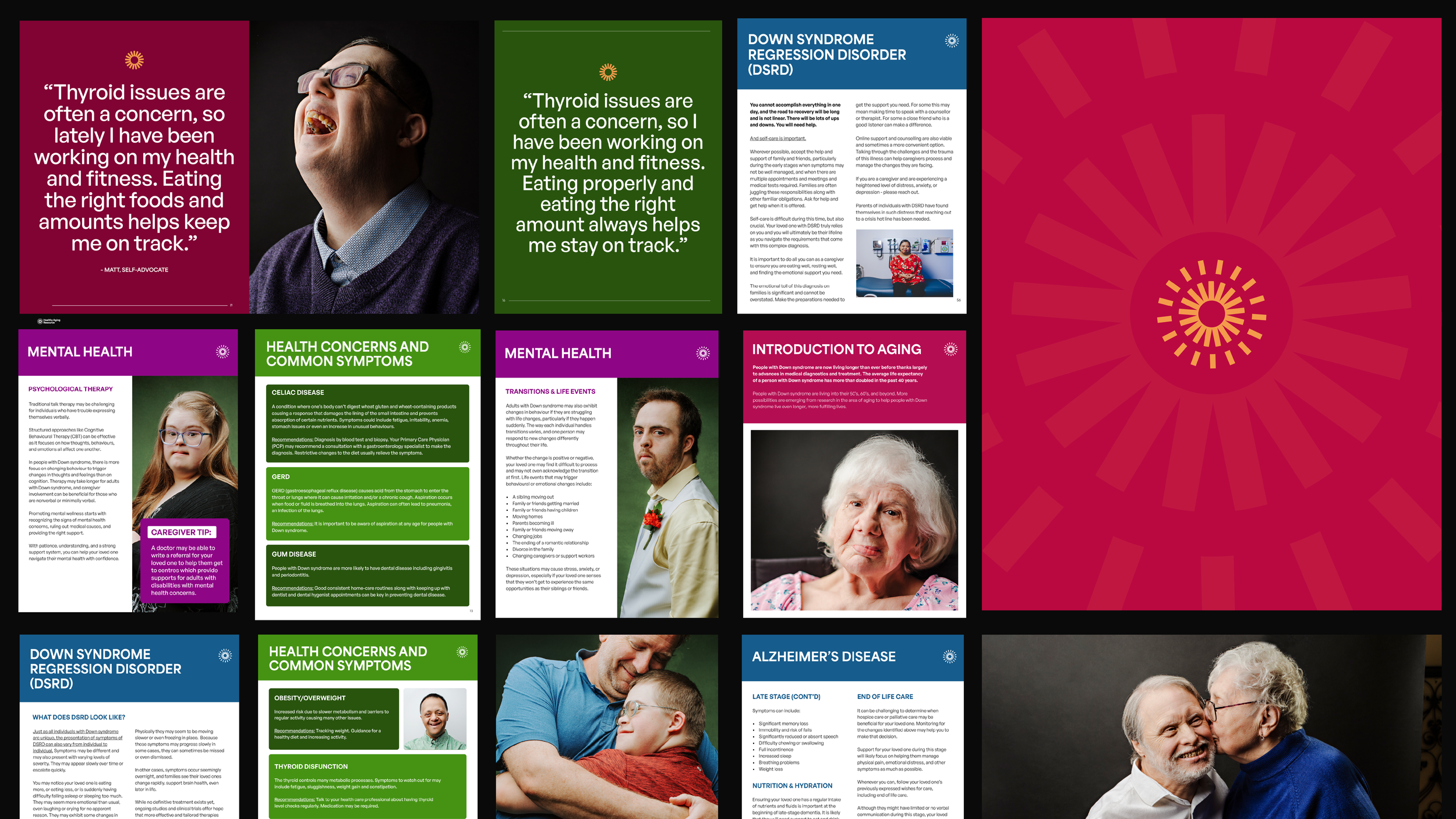 CDSS – 2026 CS-06.png