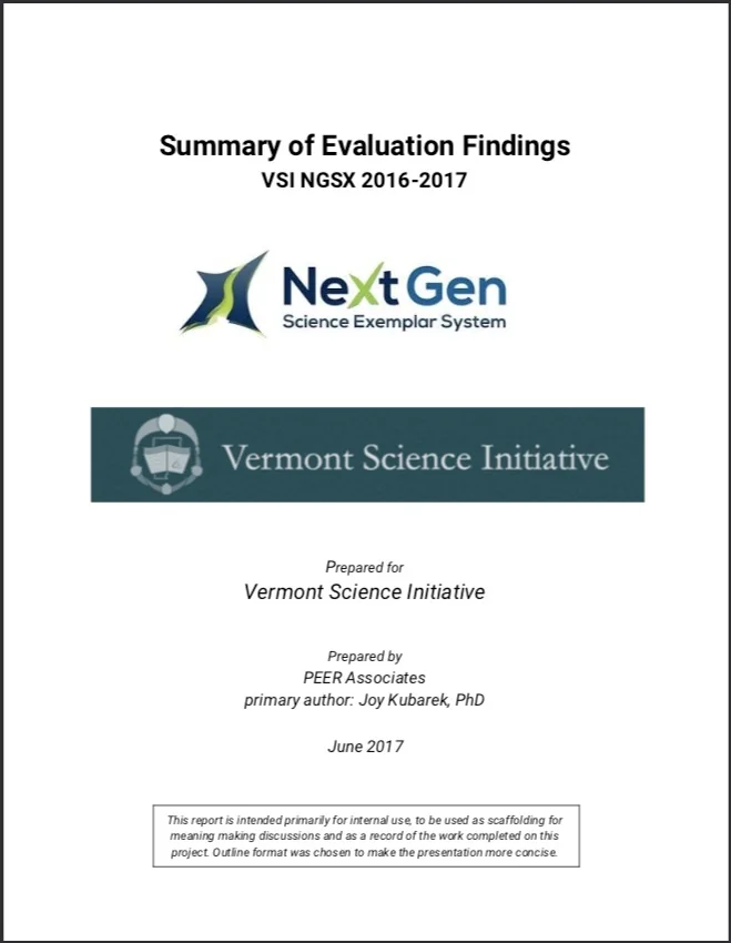 VSI+report+cover.jpg
