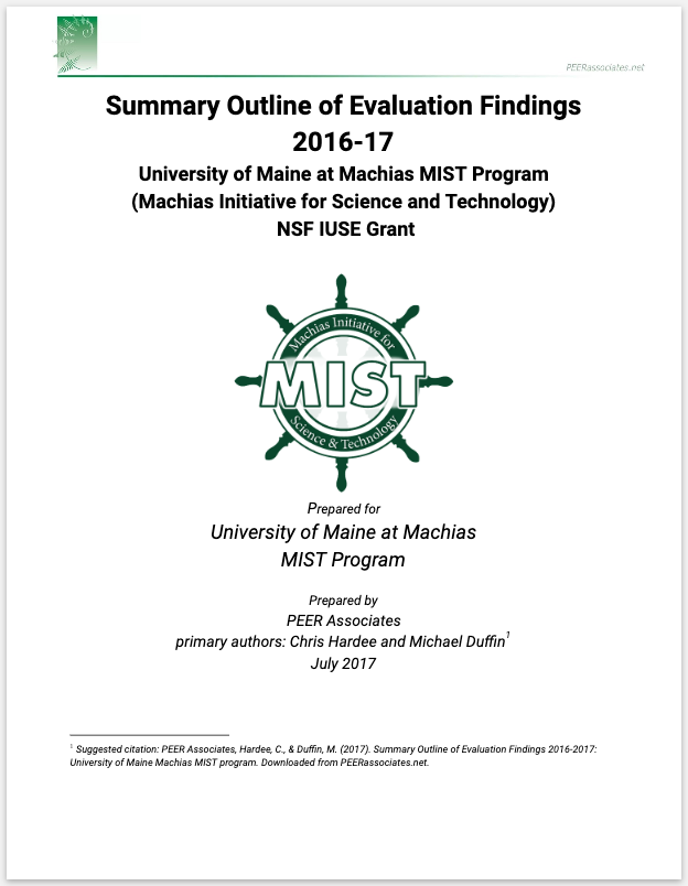 UMM MIST report cover.jpg
