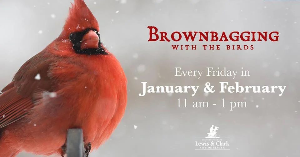 Brownbagging with the Birds graphic 2019.jpg