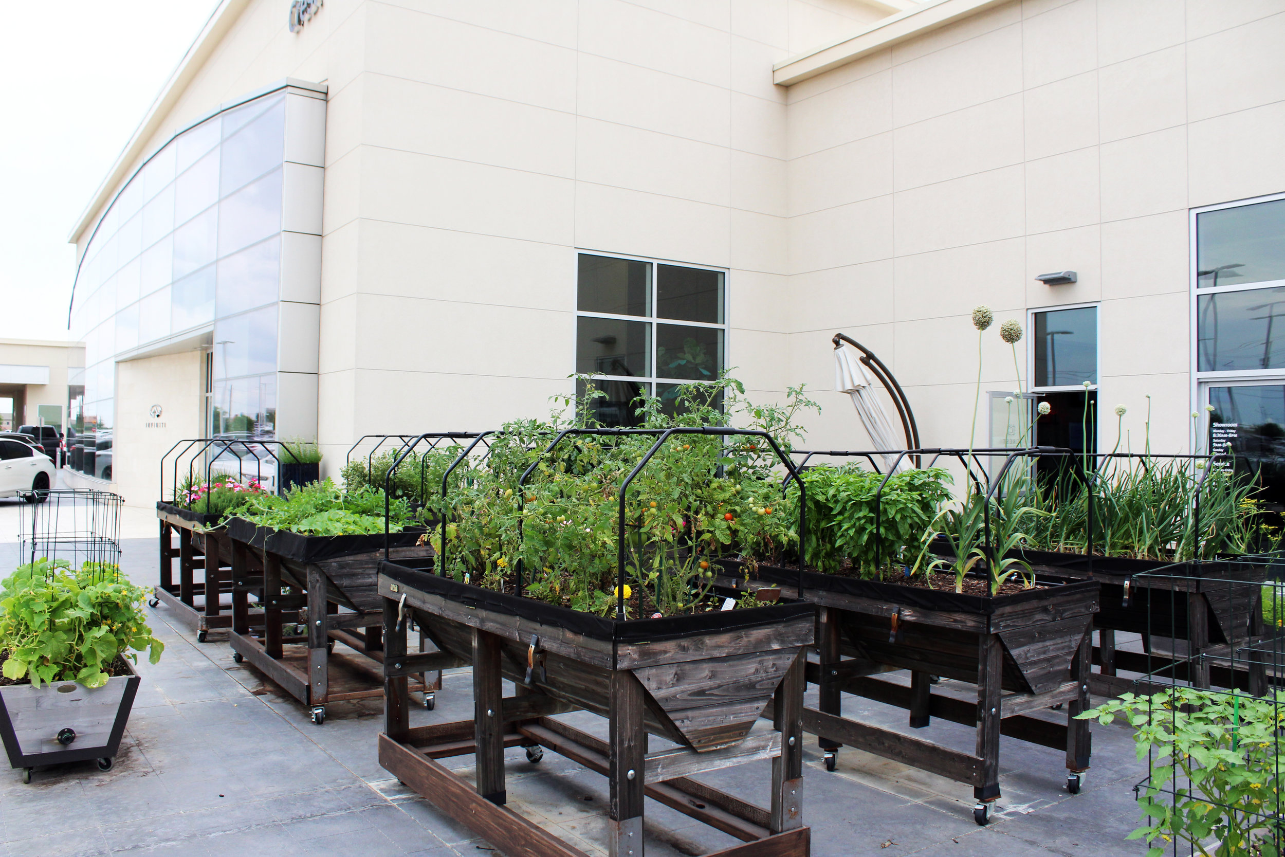 The five-star chef at Crest utilizes items from the garden in meal preparation for both the café and event room.