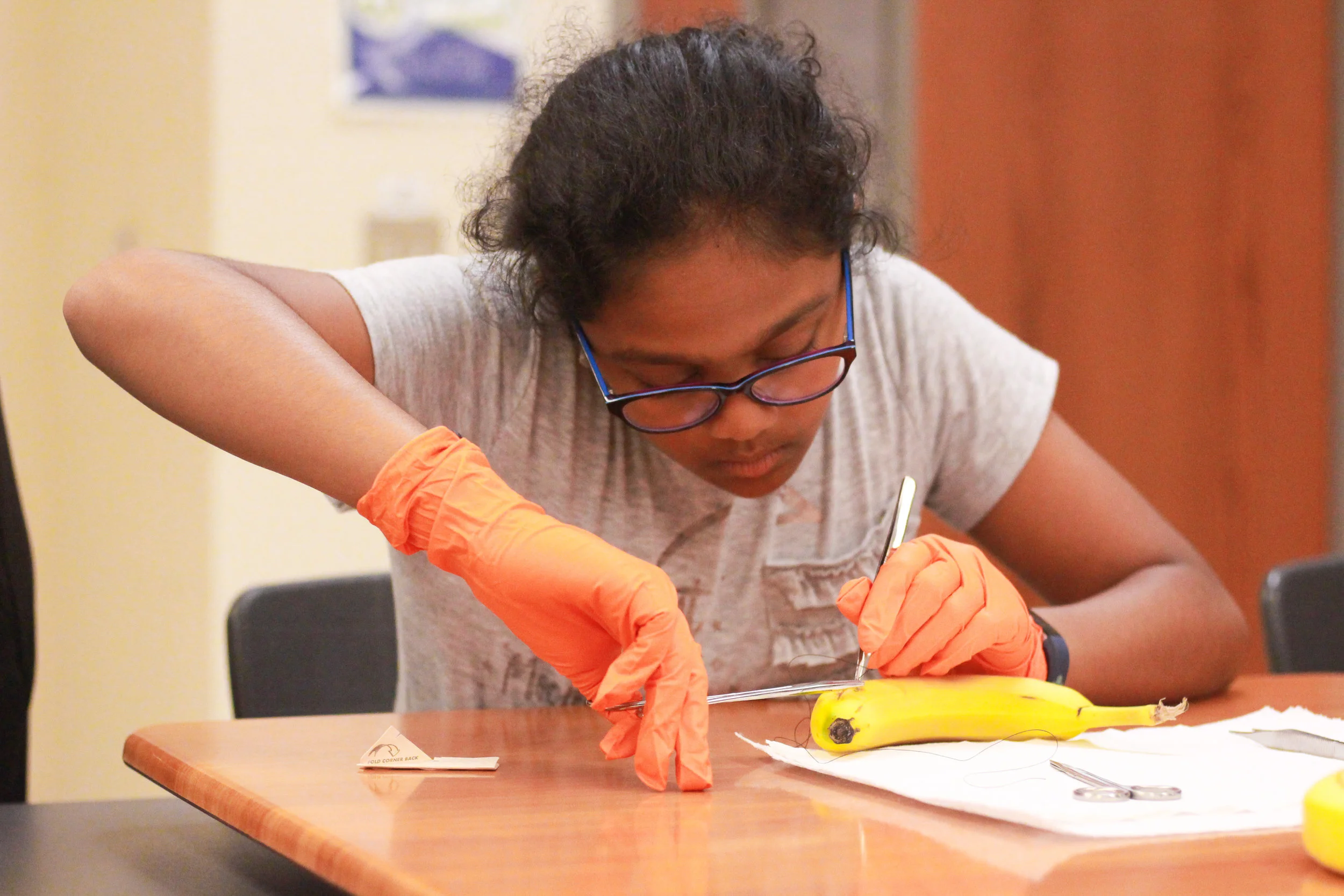 Anika Gadamsetty learns how to properly suture a banana: Photo by Grace Nguyen