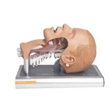 Ambu Head.jpg