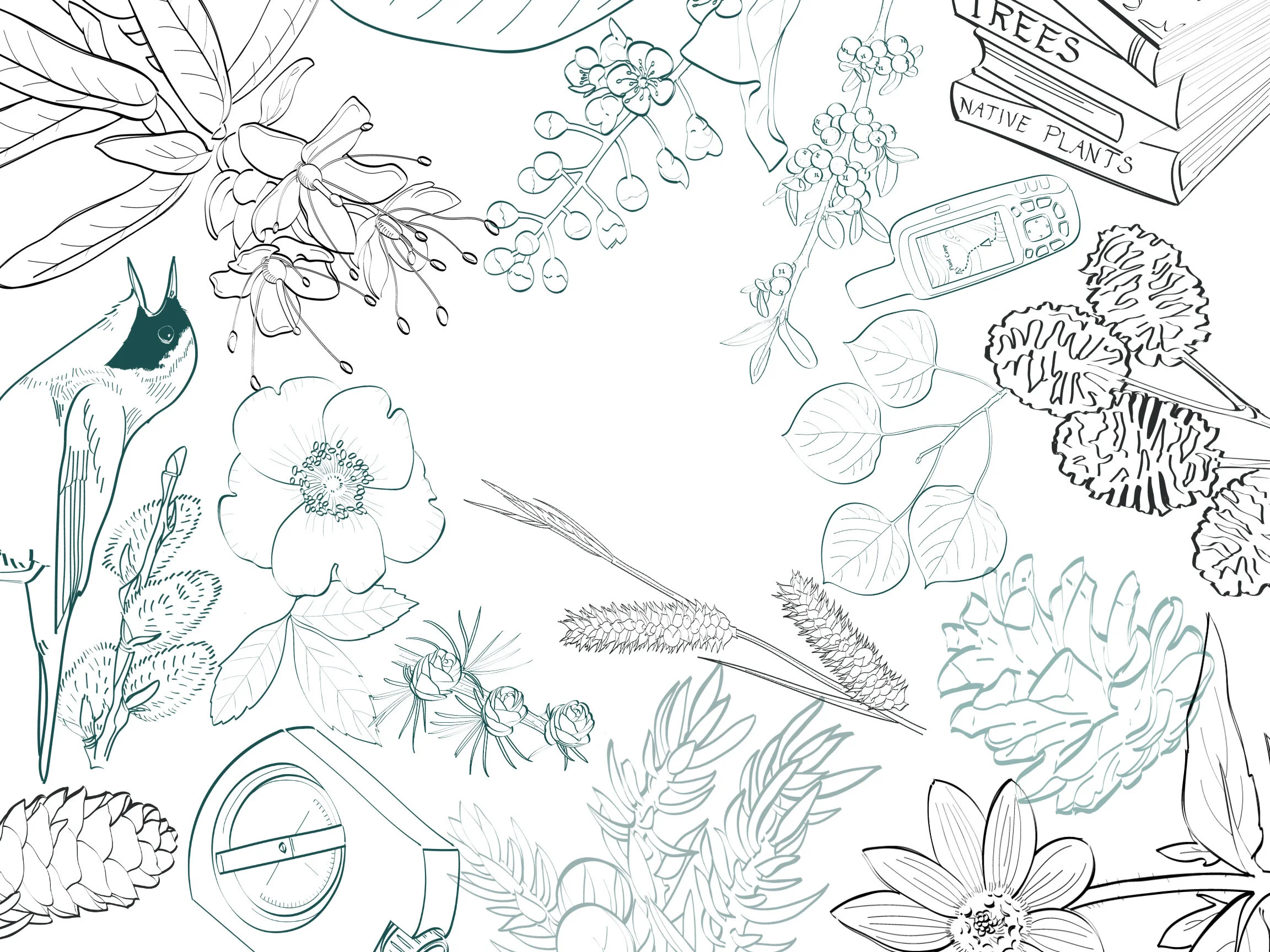 Copy+of+Plant+Pals%21%283%29.jpg