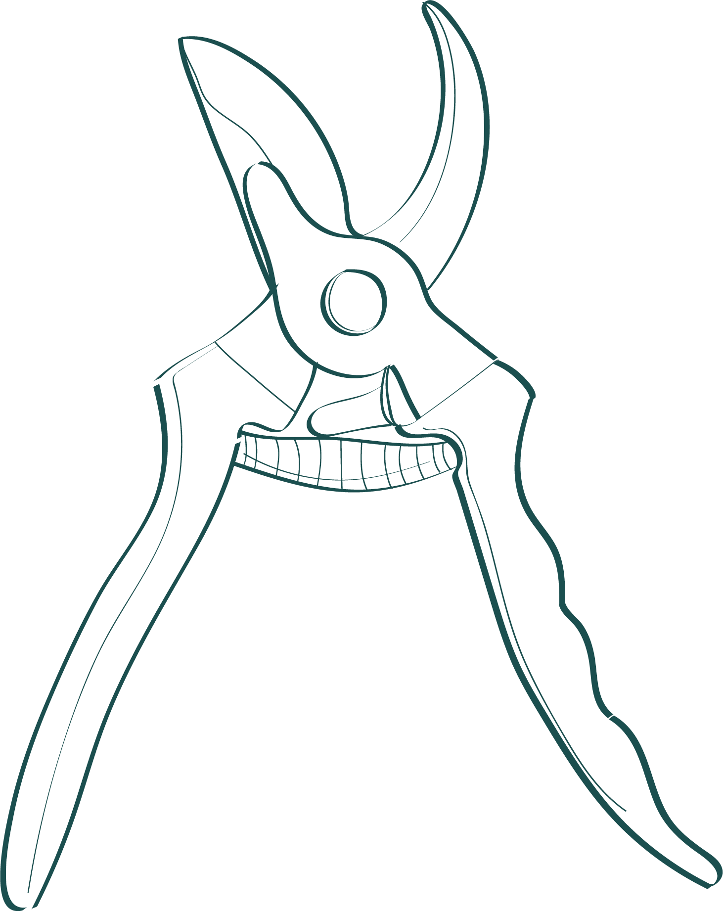 line drawing of hand pruners