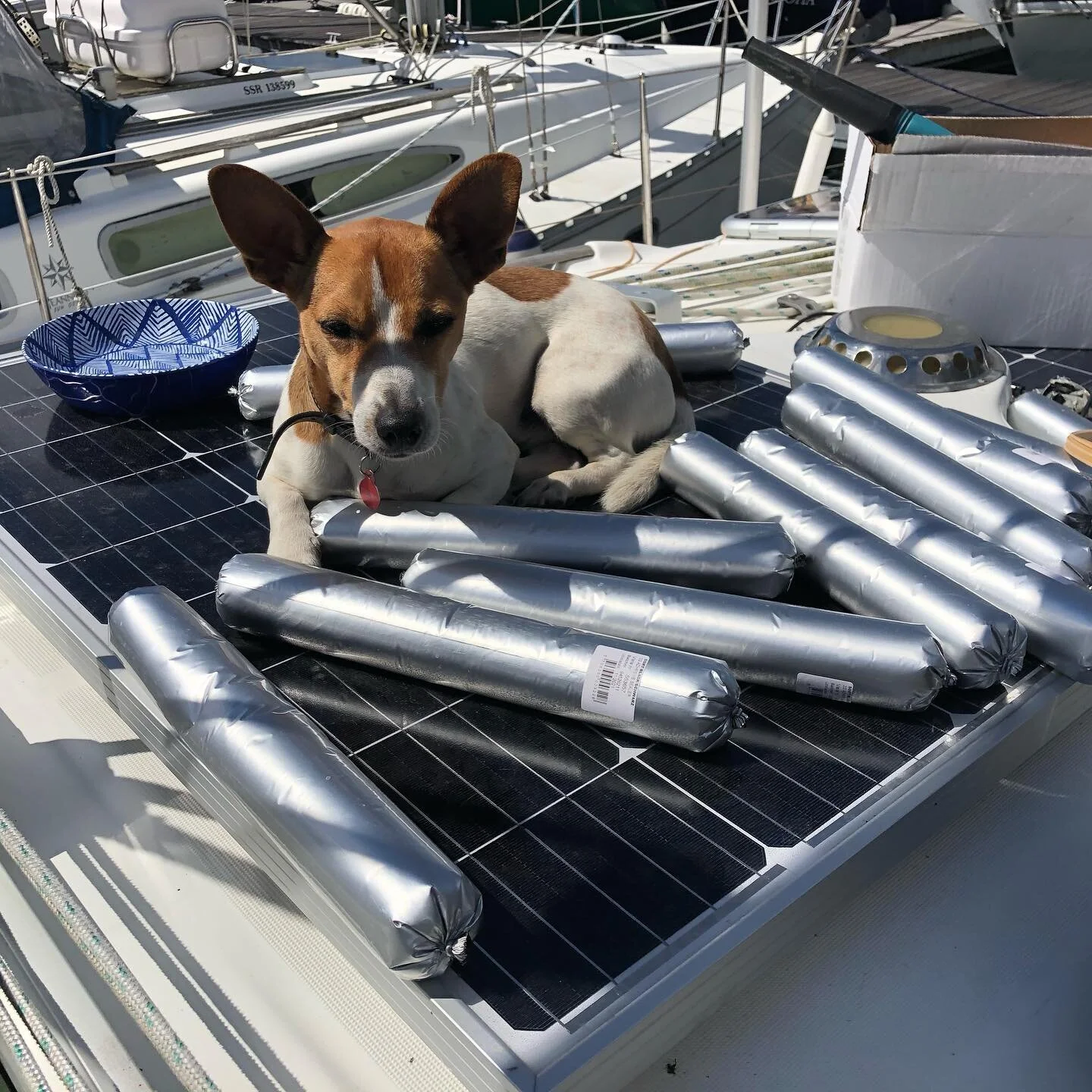 Working hard in the heat today... 😉 colour - scrubbed Flexiteek decks. Sub deck prepped and new deck glued down in one day, caulking in tomorrow. #flexiteek2g #rofixrestoration #jackrussellterrier #lovingthesun #decks #suffolk #norfolk #boats #suffo