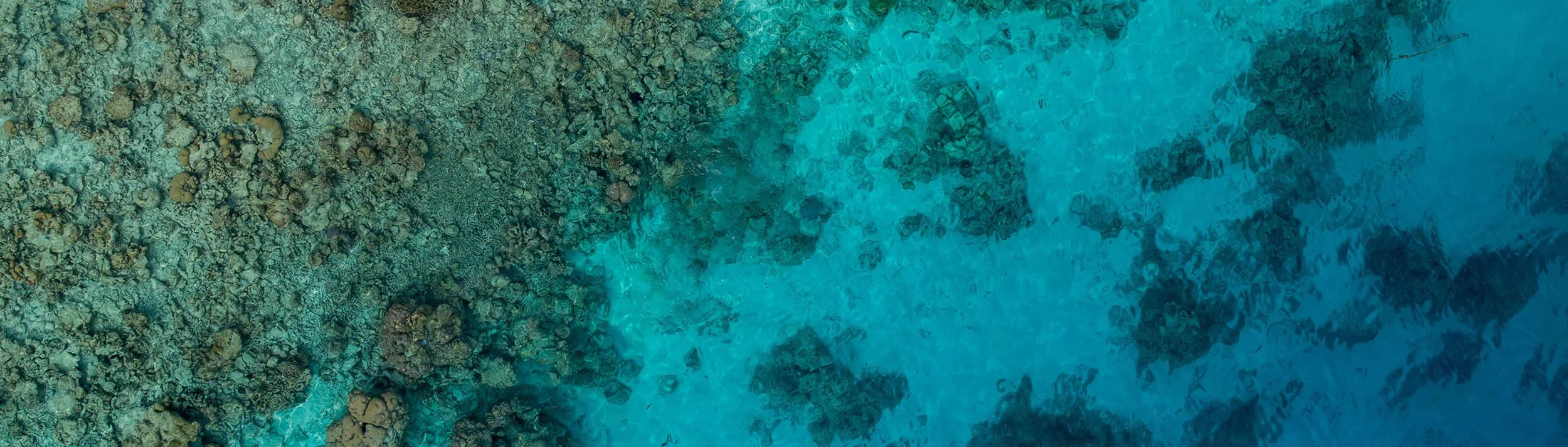 small-section-background2.jpg