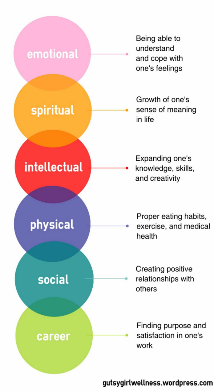 Introduction to the 8 Wellness Domains