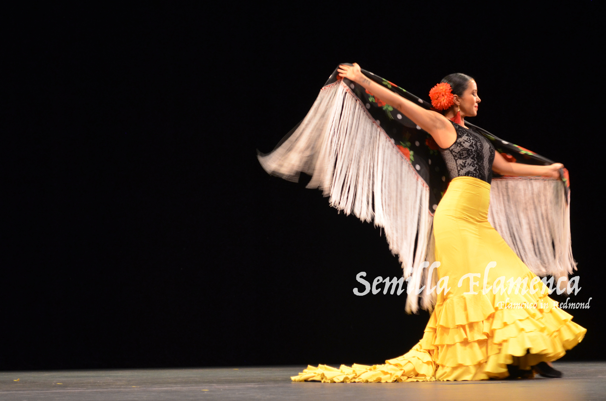 SemillaFlamenca3.jpg