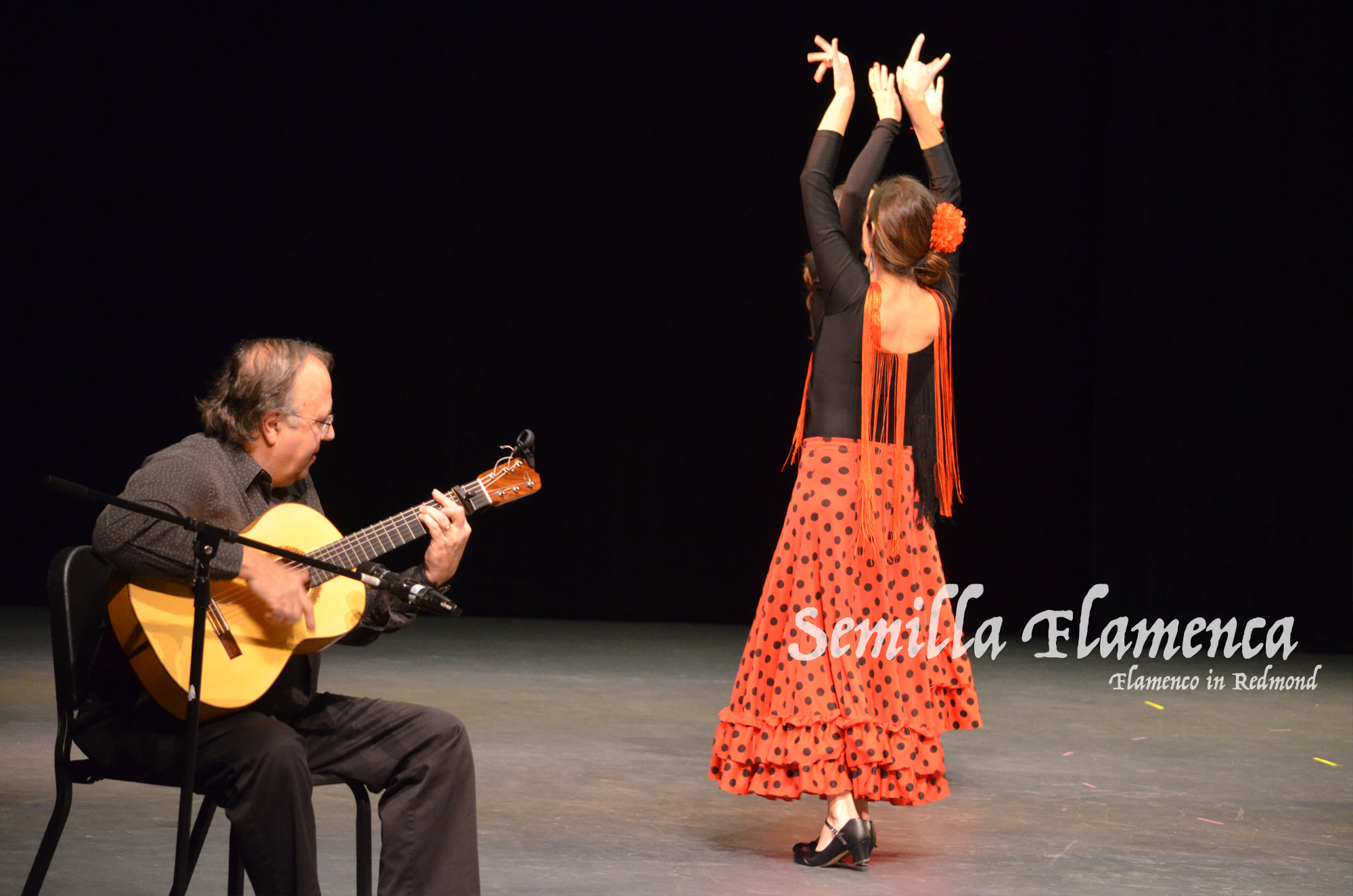 SemillaFlamenca2.jpg