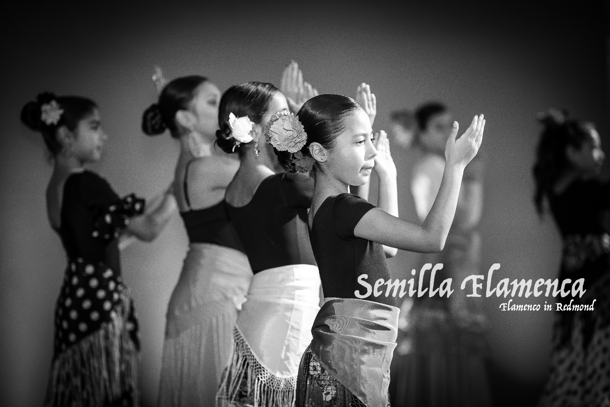 SemillaFlamenca12.jpg