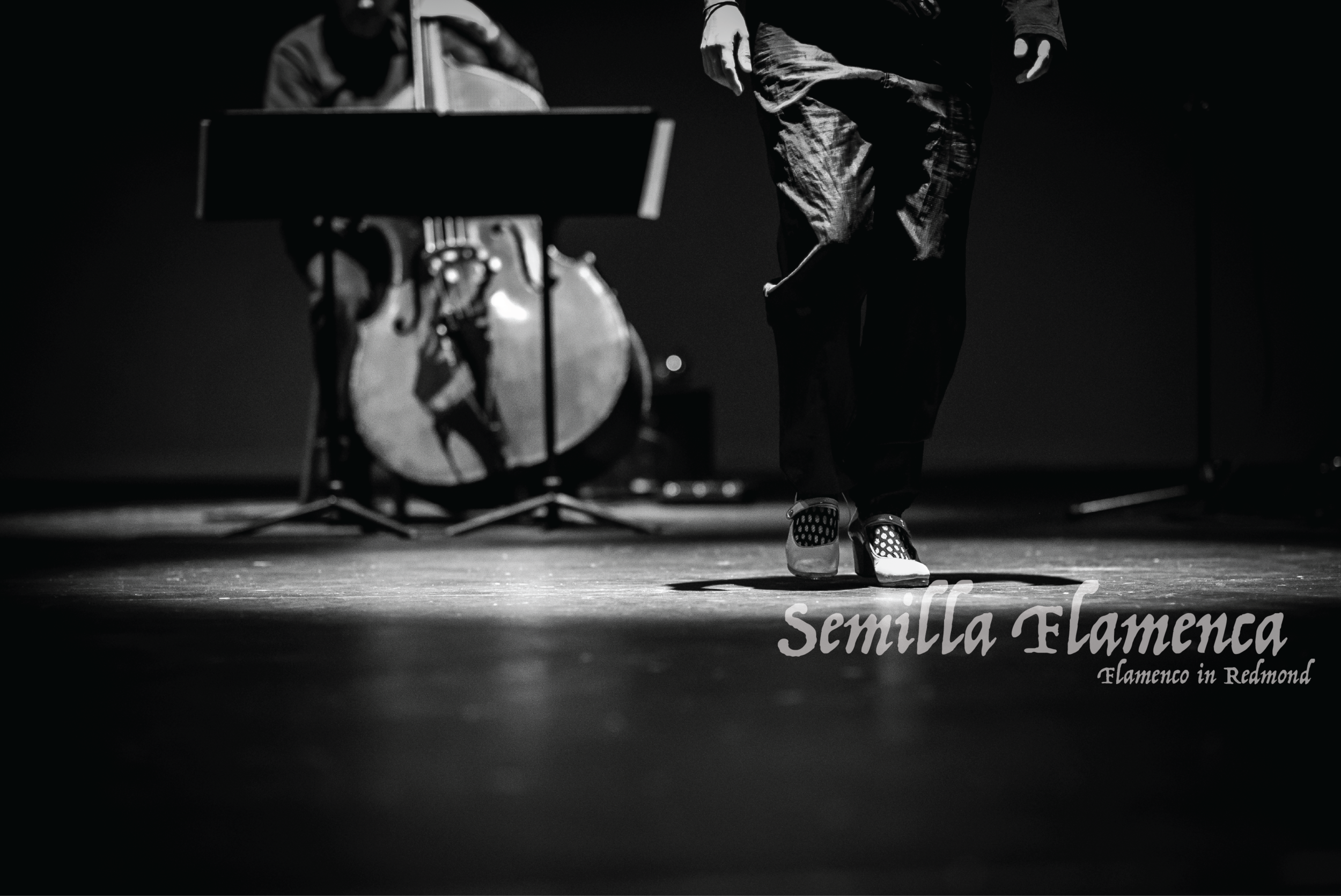 SemillaFlamencaTacones.png