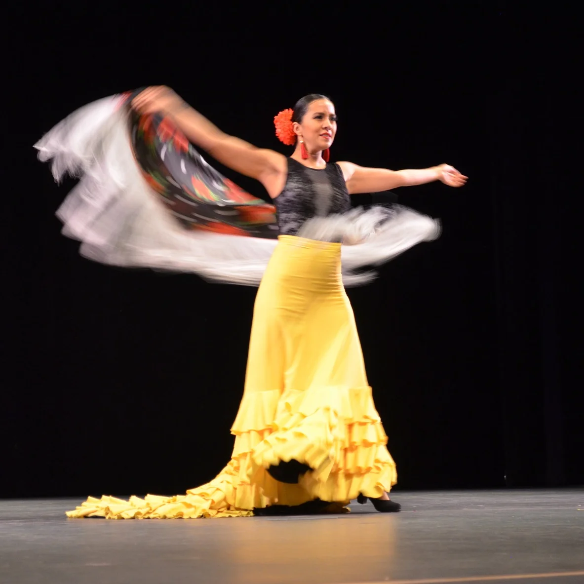 WINTER 2017 RECITAL Semilla Flamenca presented all what they learned from Sept-Jan. This happened at the Redmond Performing Arts Center, and our special guest was Diana Hernandez Leon.