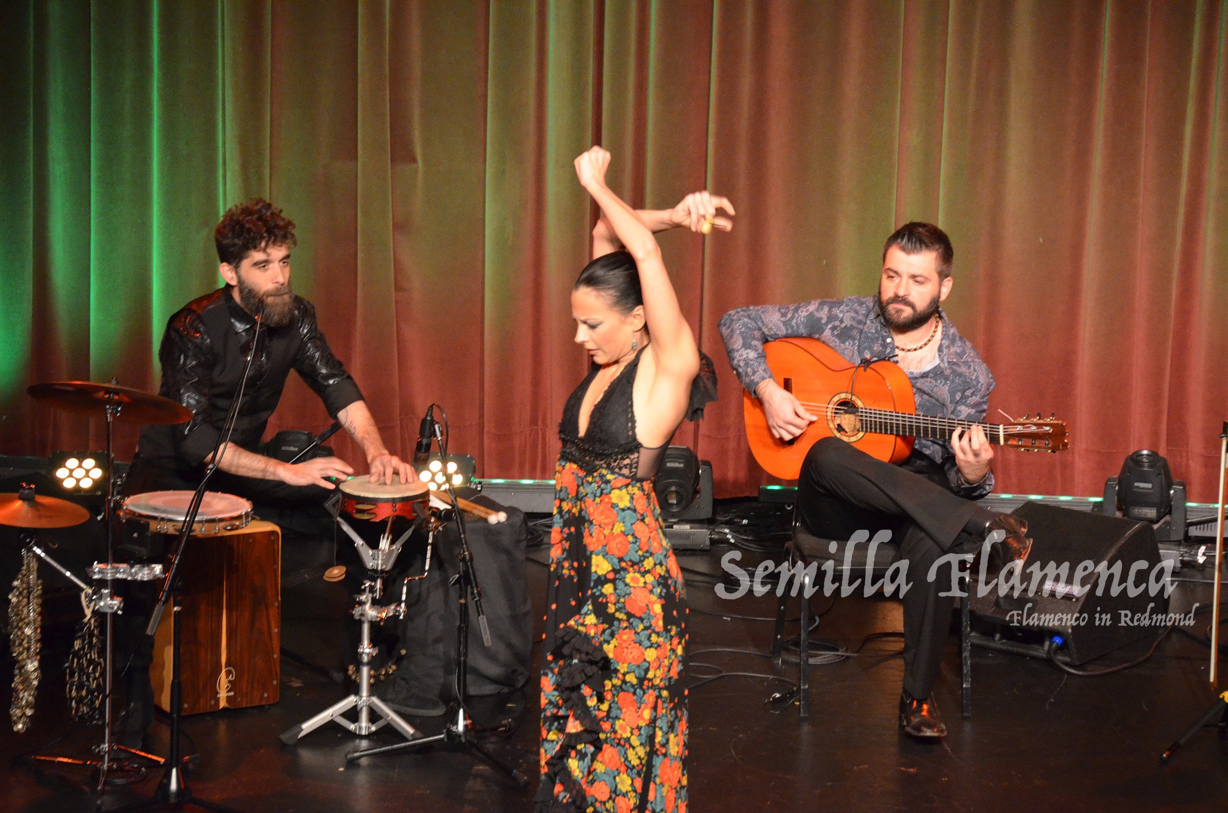 Lucia-Ruibal-Semilla-Flamenca-Flamenco.jpg