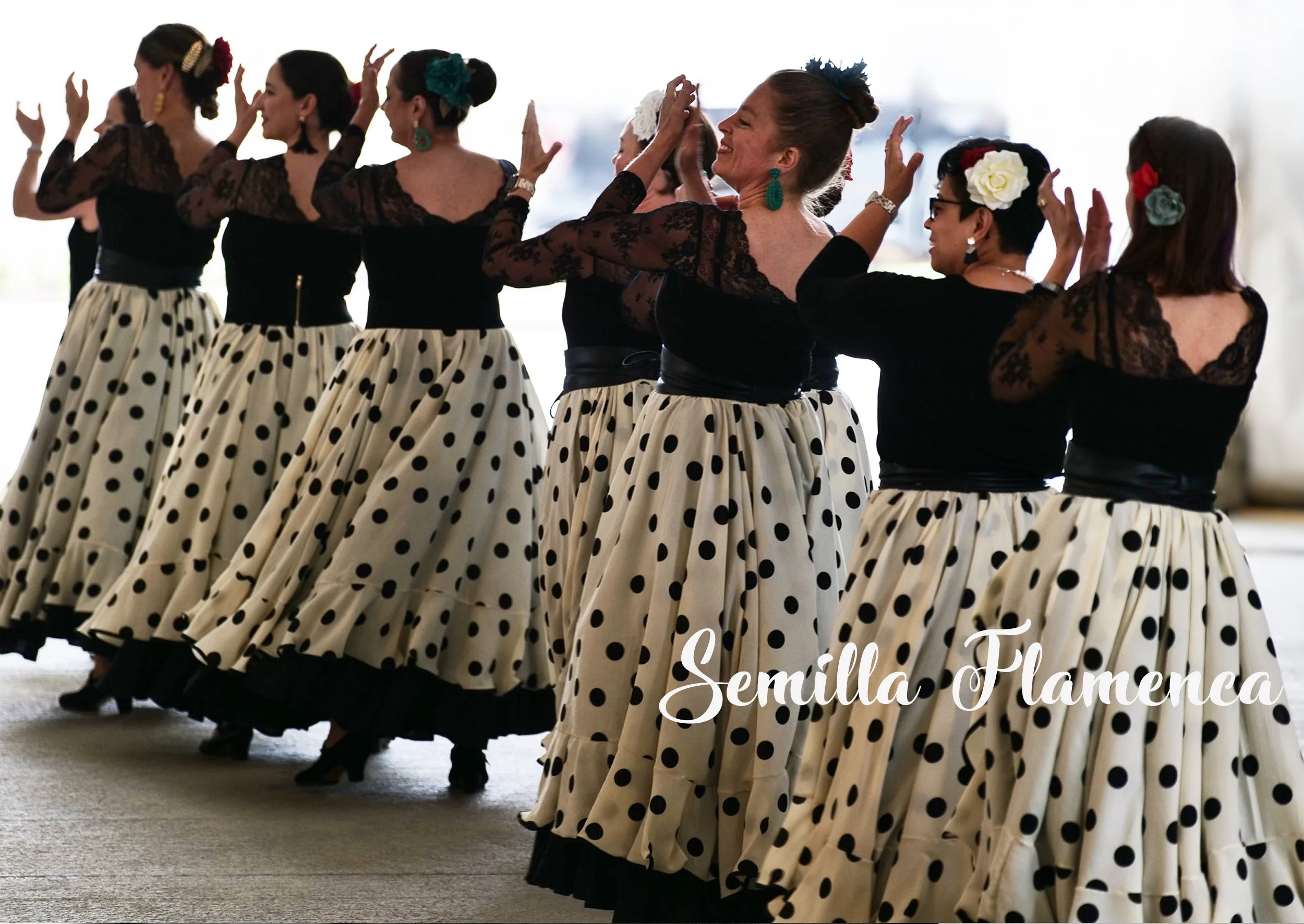 SemillaFlamenca3.jpg