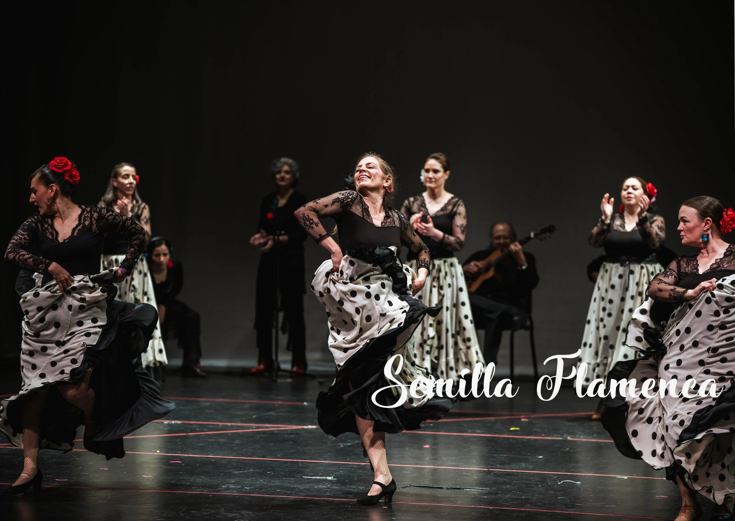 SemillaFlamenca4.jpg