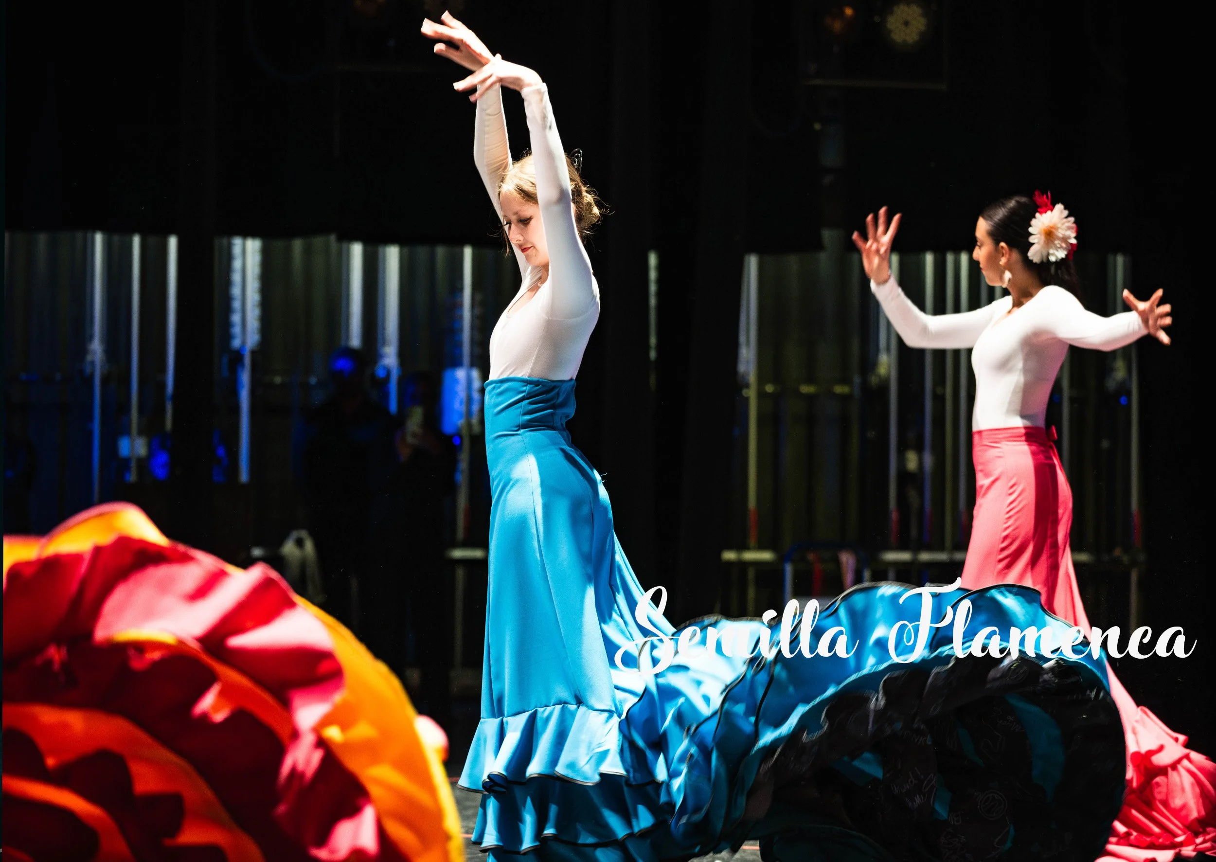 SemillaFlamenca6.jpg