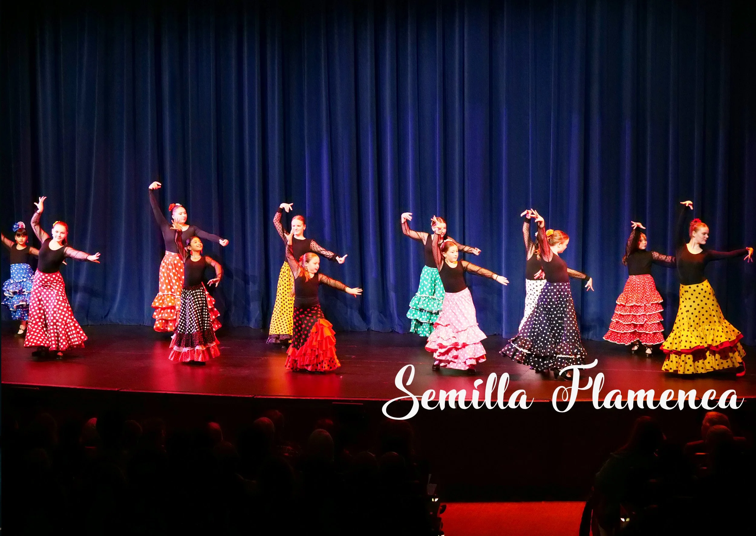 SemillaFlamenca7.jpg