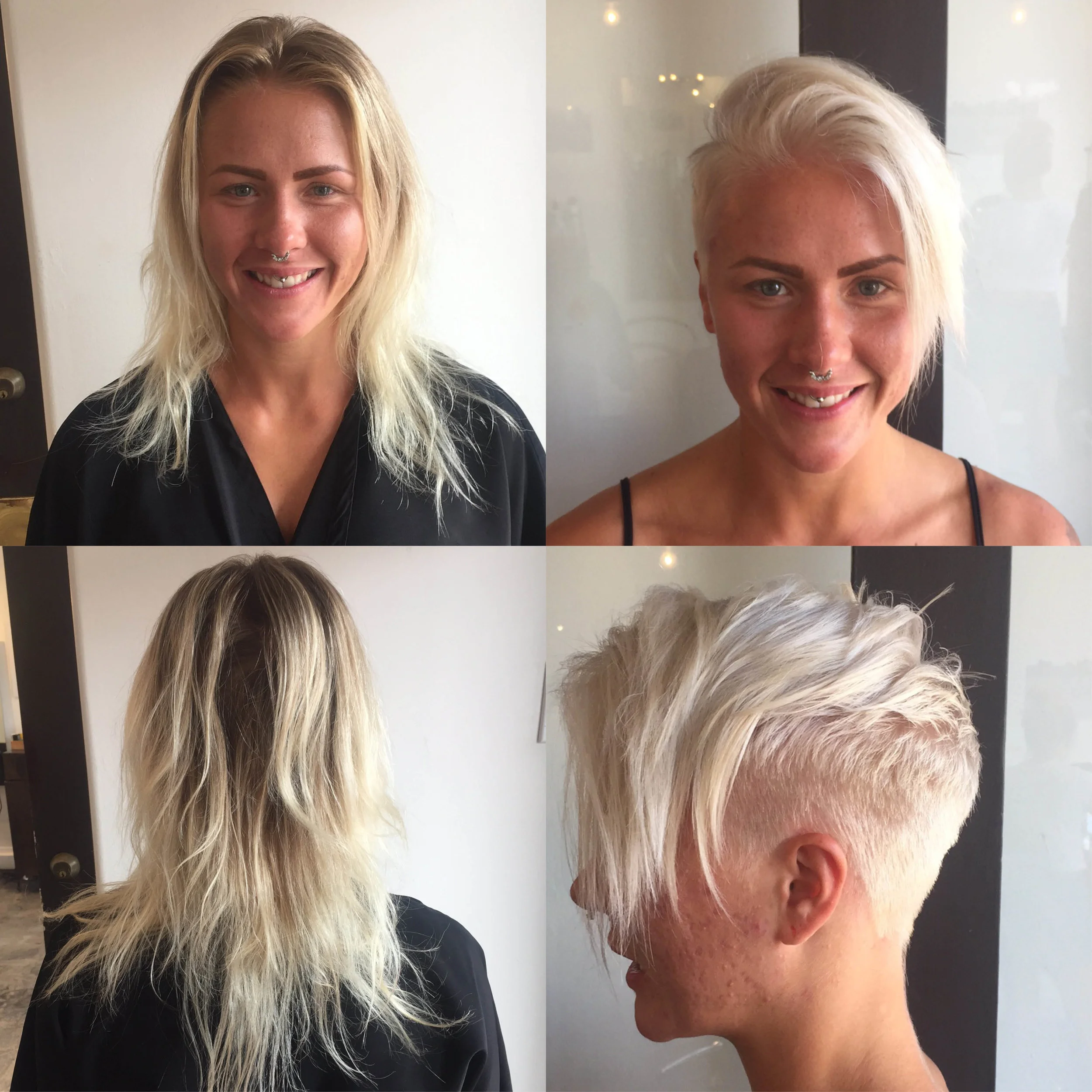 B&A-C15 long to chop.jpg