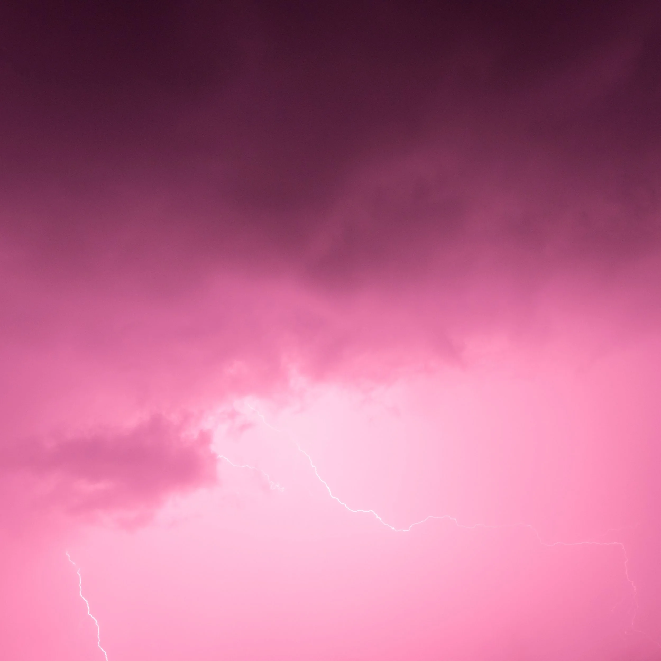 Photo by Martin Adams