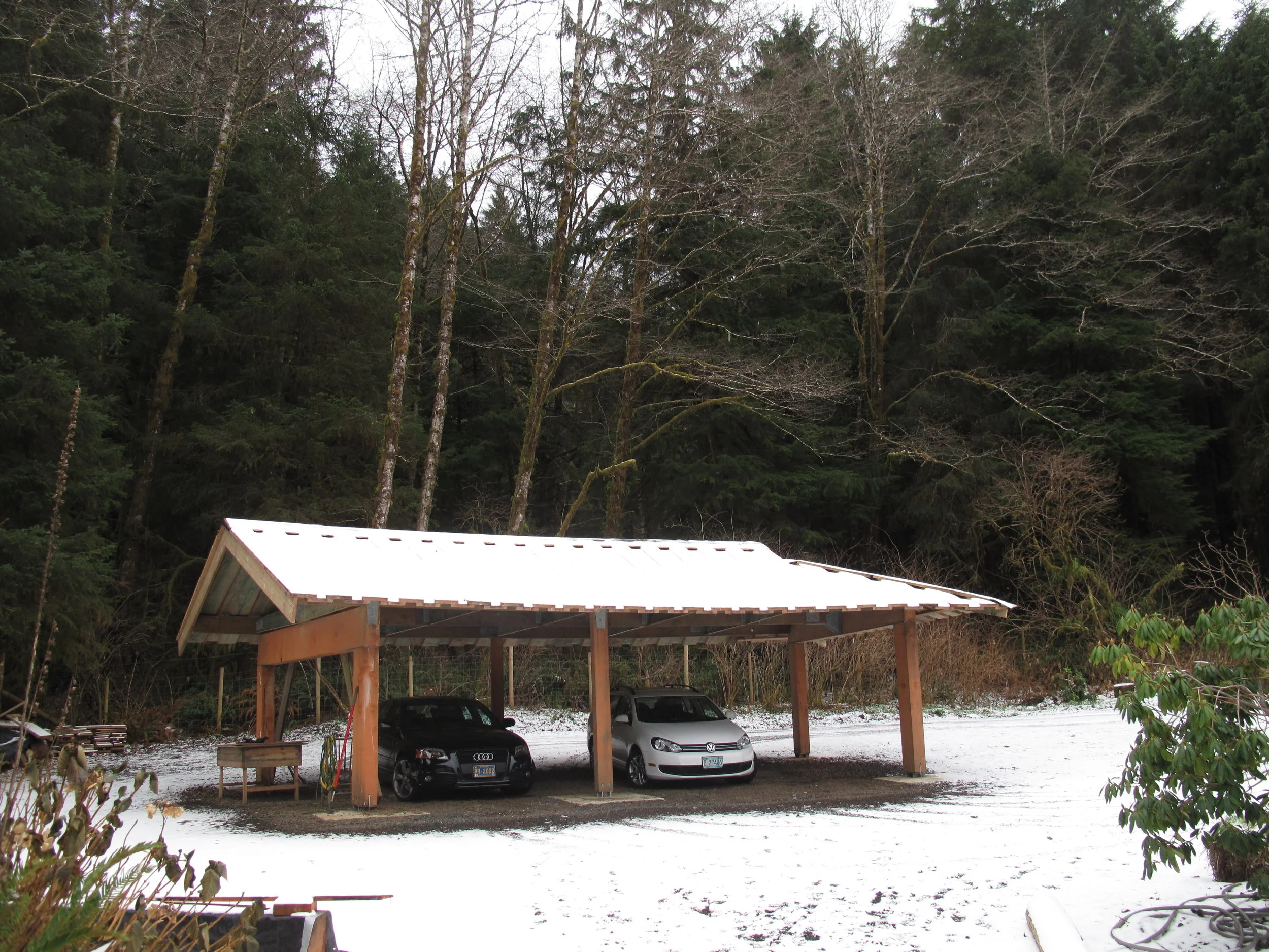 Breathing Cloud in snow.JPG