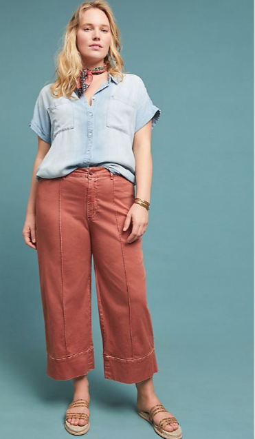 Anthropologie Pintucked Chino Pants