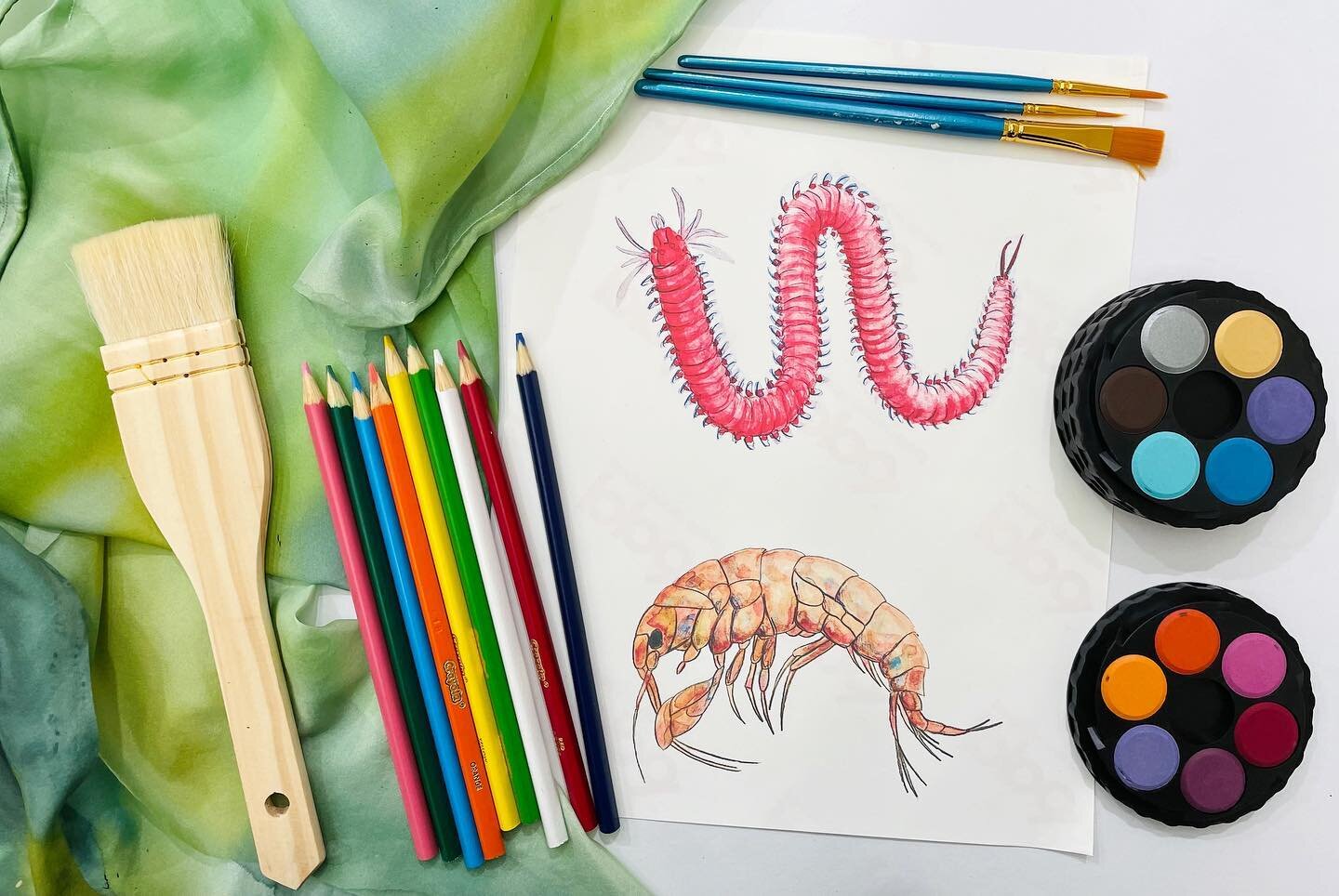 Our @nationalscienceweek project is all about merging #science and #art With the guidance of artist @lissfinney participants will be creating these beautiful scientific drawings which will find a home amongst a giant silk seagrass meadow. The pieces 