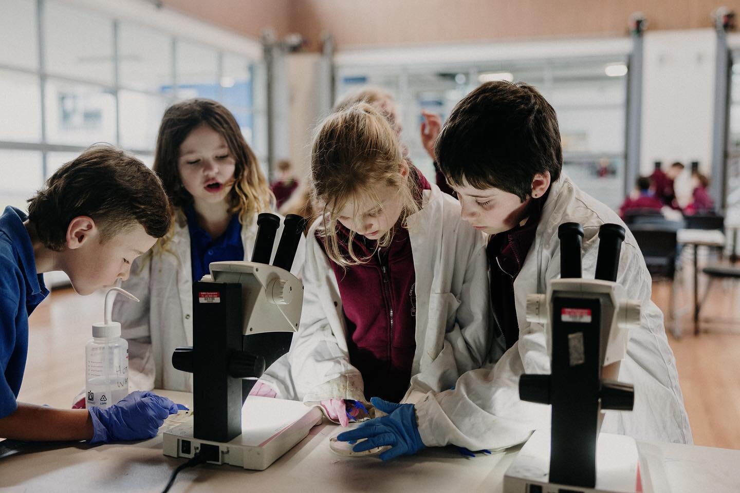 We had so much fun conducting our art-meets-science workshops across 4 days, in 2 locations (Lake Macquarie and Sydney Harbour). Attendees got up close and personal with the marine life of their backyards and contributed to beautiful participatory ar