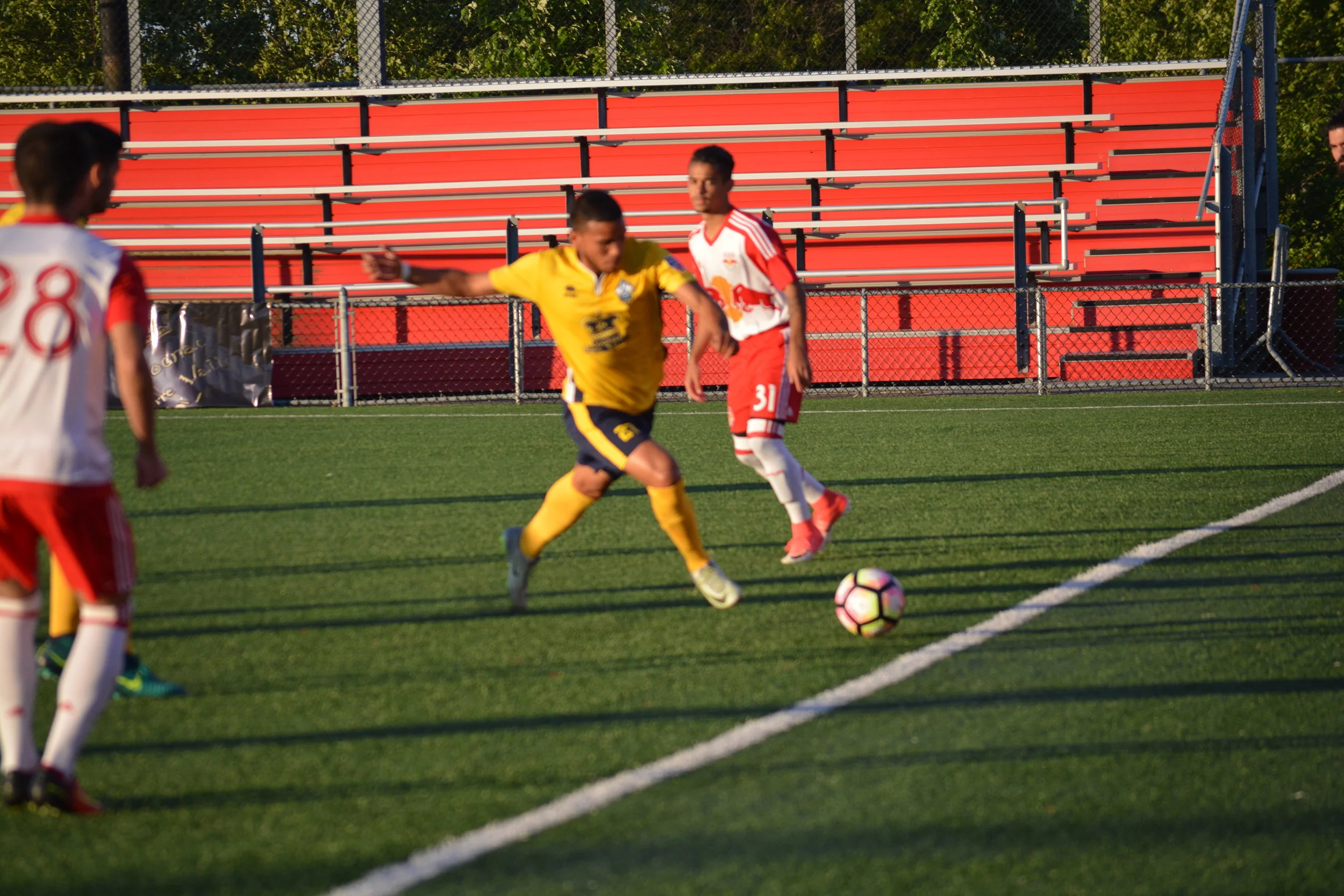 FA Euro Suffers "Disastrous" Loss at NYRB