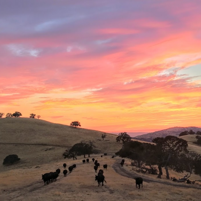 Connolly Ranch