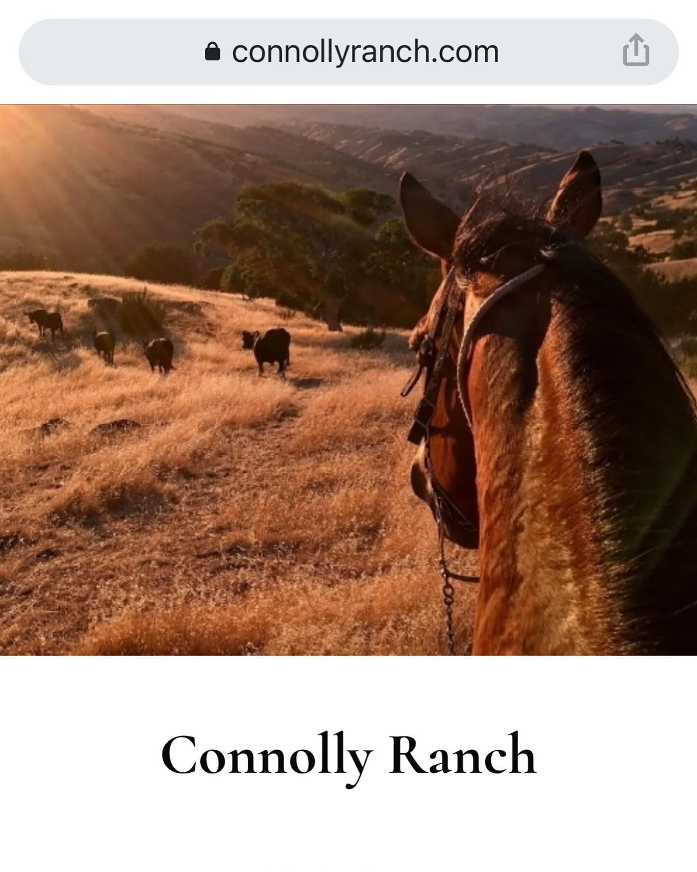 Connolly Ranch
