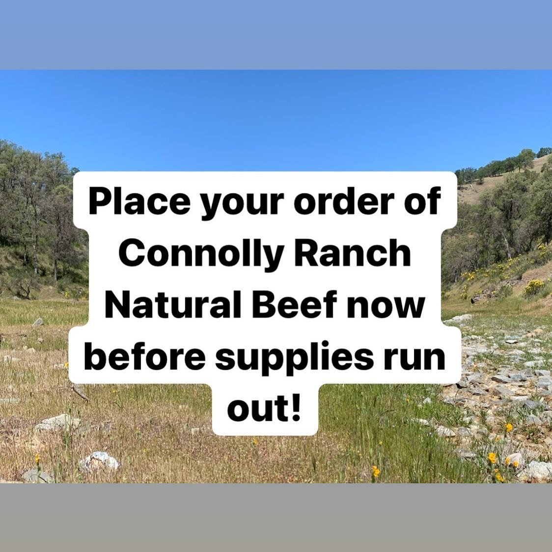 Connolly Ranch