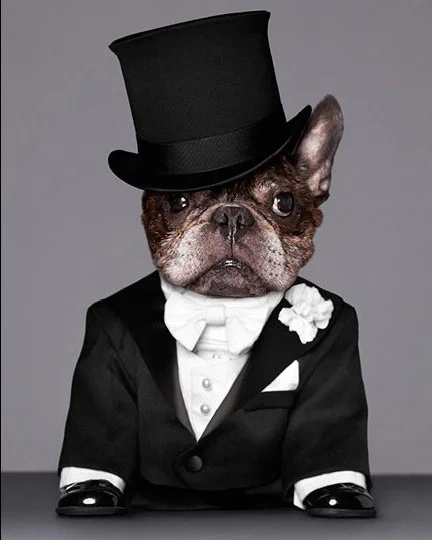  Marcel, Dressed as Fred Astaire  For NARS Cosmetics    