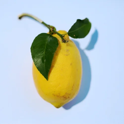 lemon.jpg