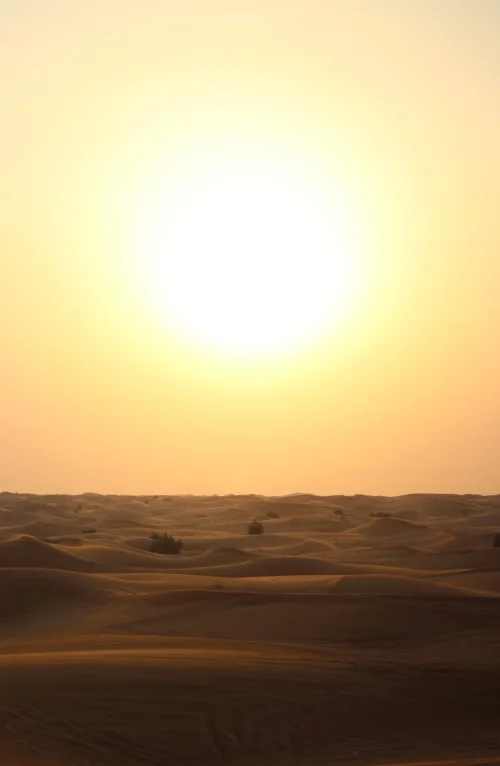 sun.jpg