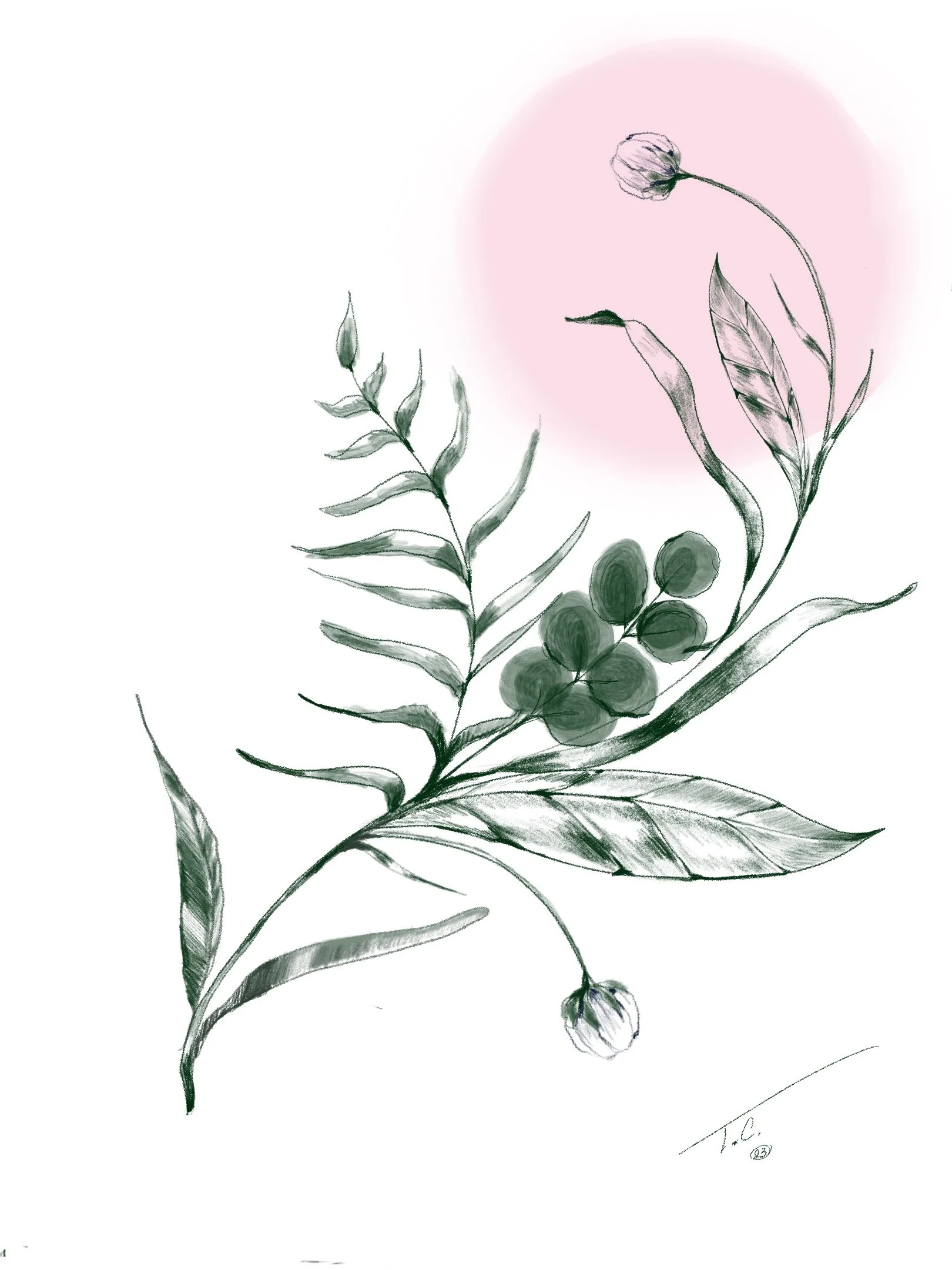 Untitled_Artwork 28.jpg