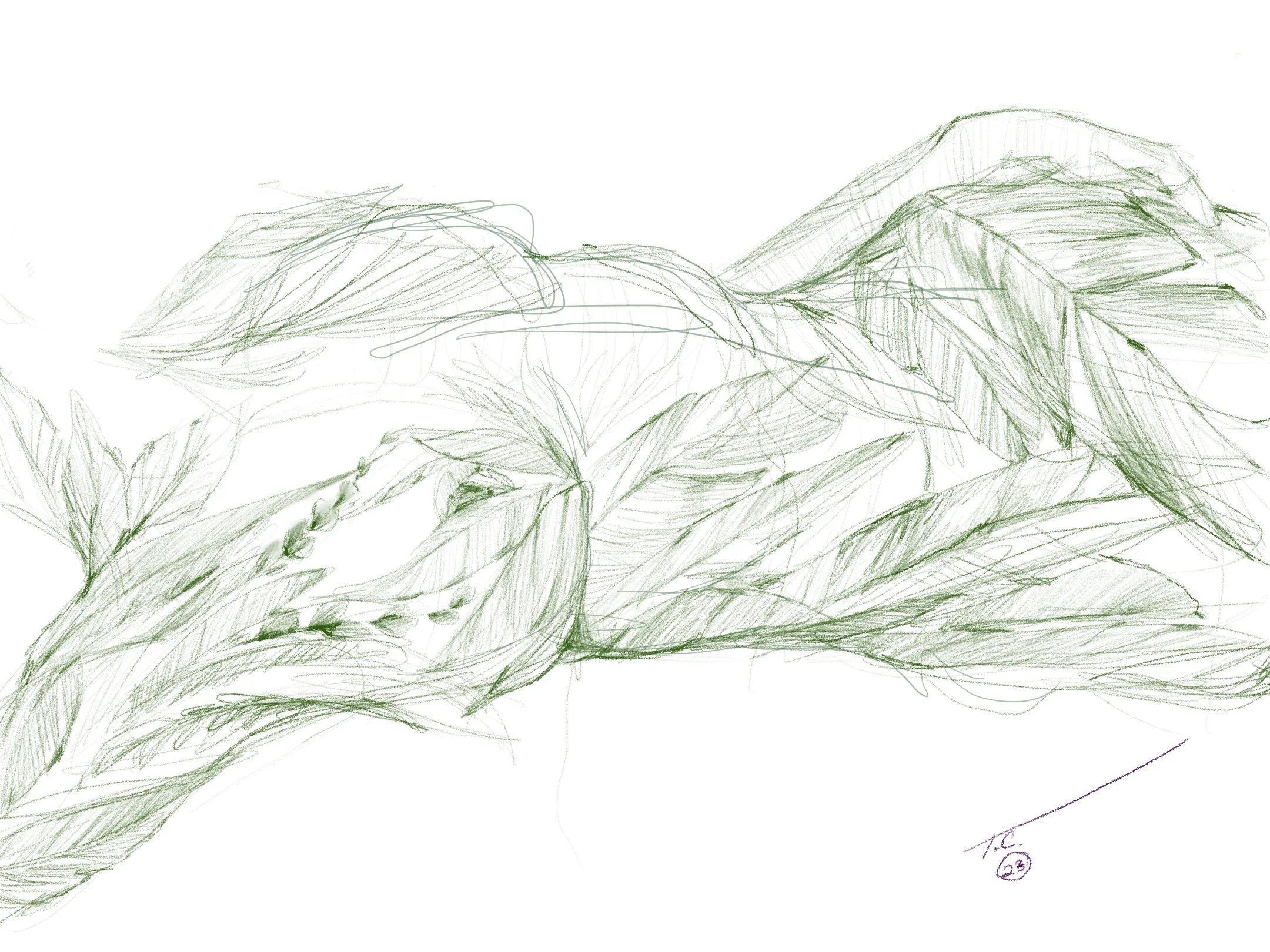 Untitled_Artwork 18.jpg