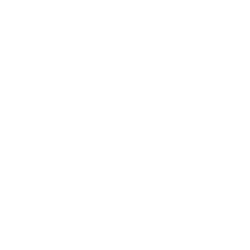vision-icon.png