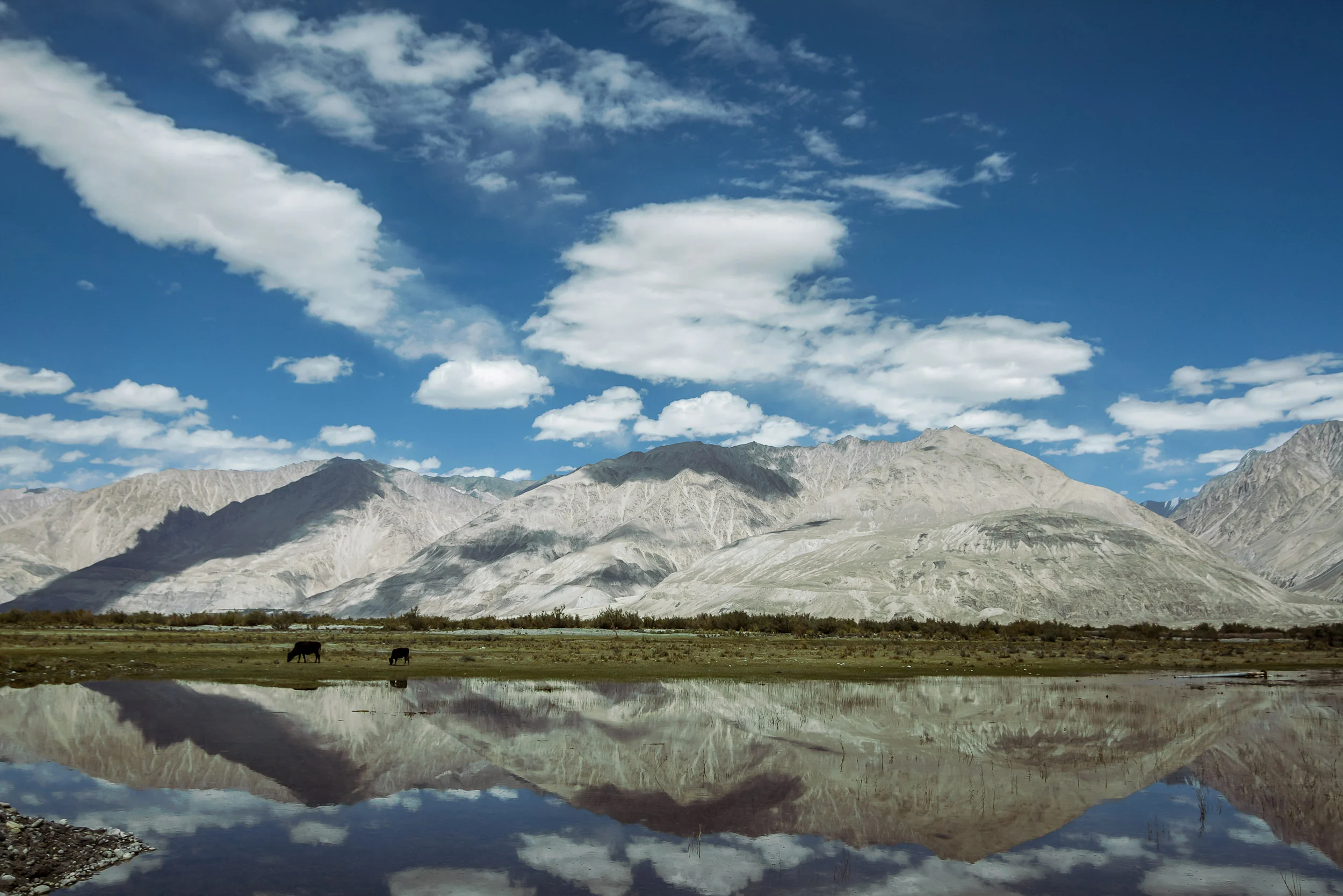 Sindhur_Photography_Travel_Landscape_Ladakh-21.JPG