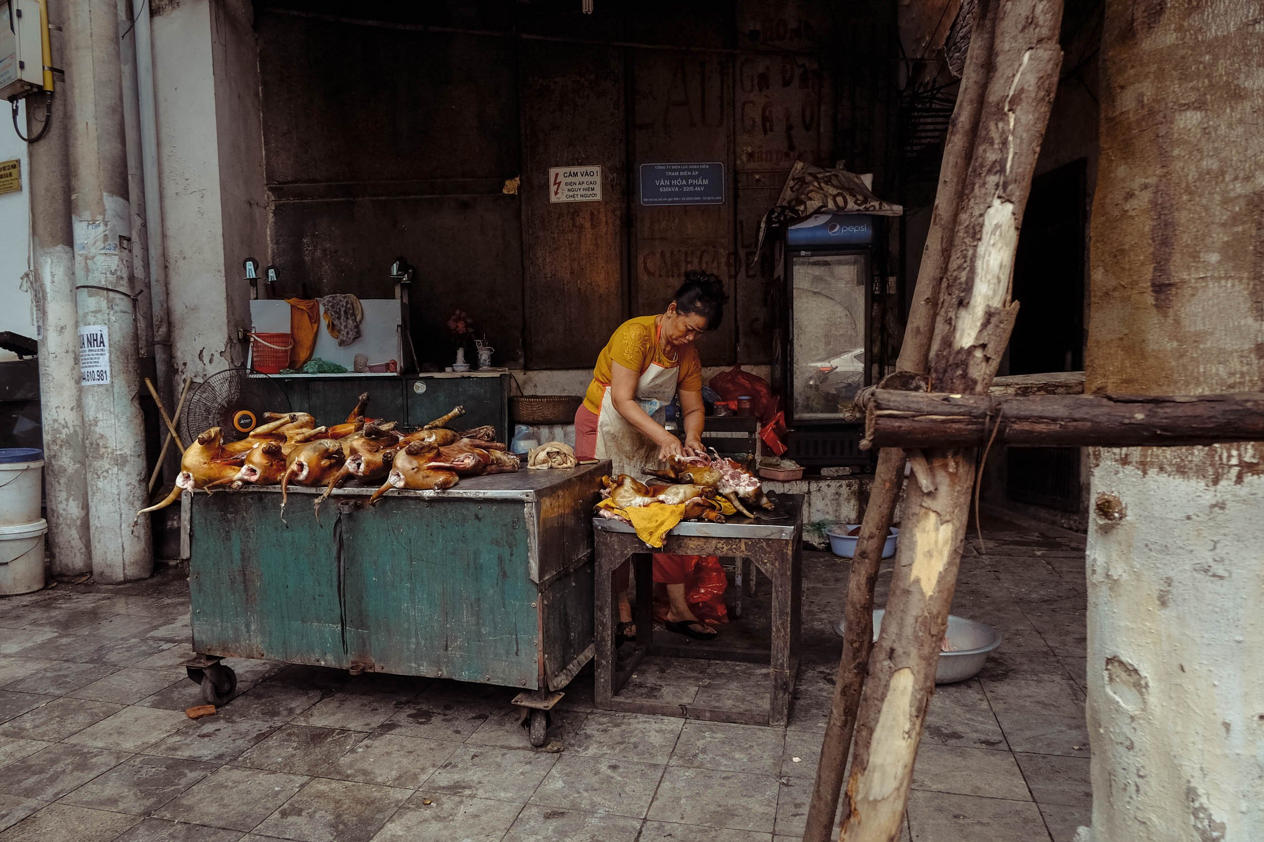 Sindhur Photography_Travel_Vietnam_Journal-23.jpg