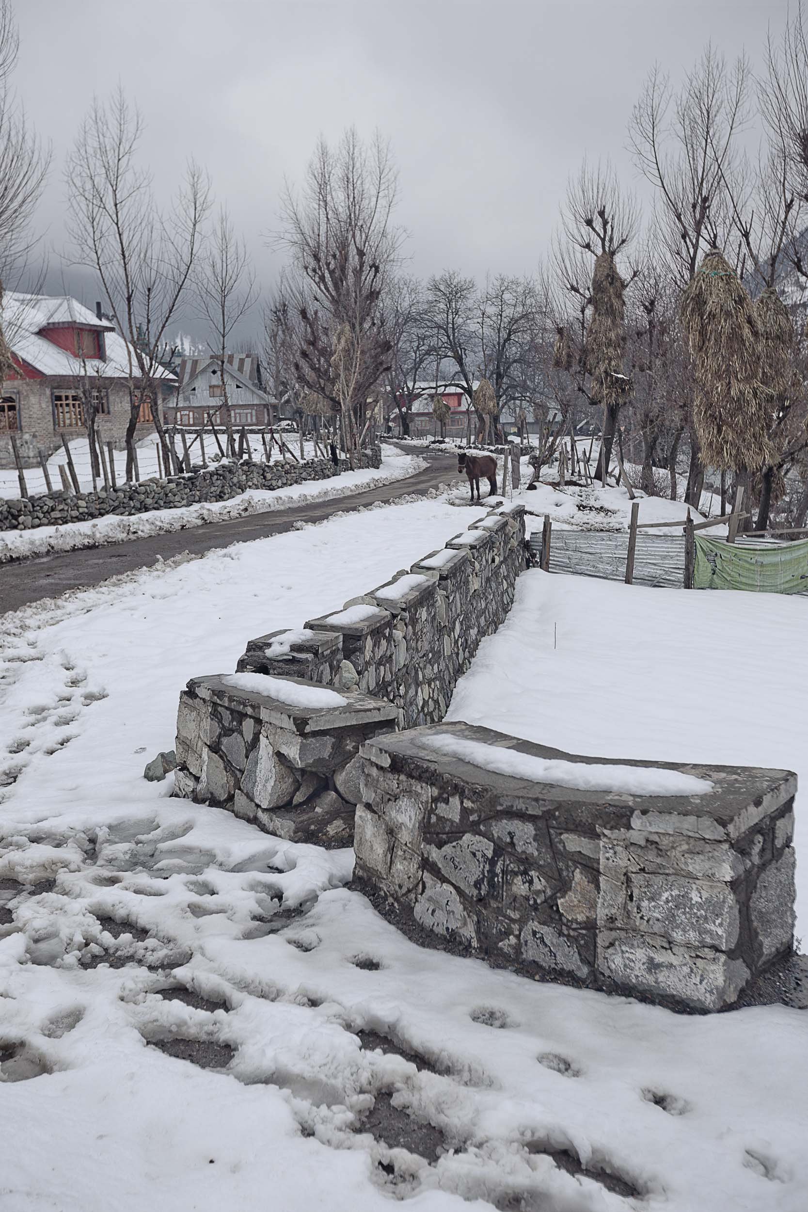 Sindhur_Photography_Travel_Nature_Kashmir-5.JPG