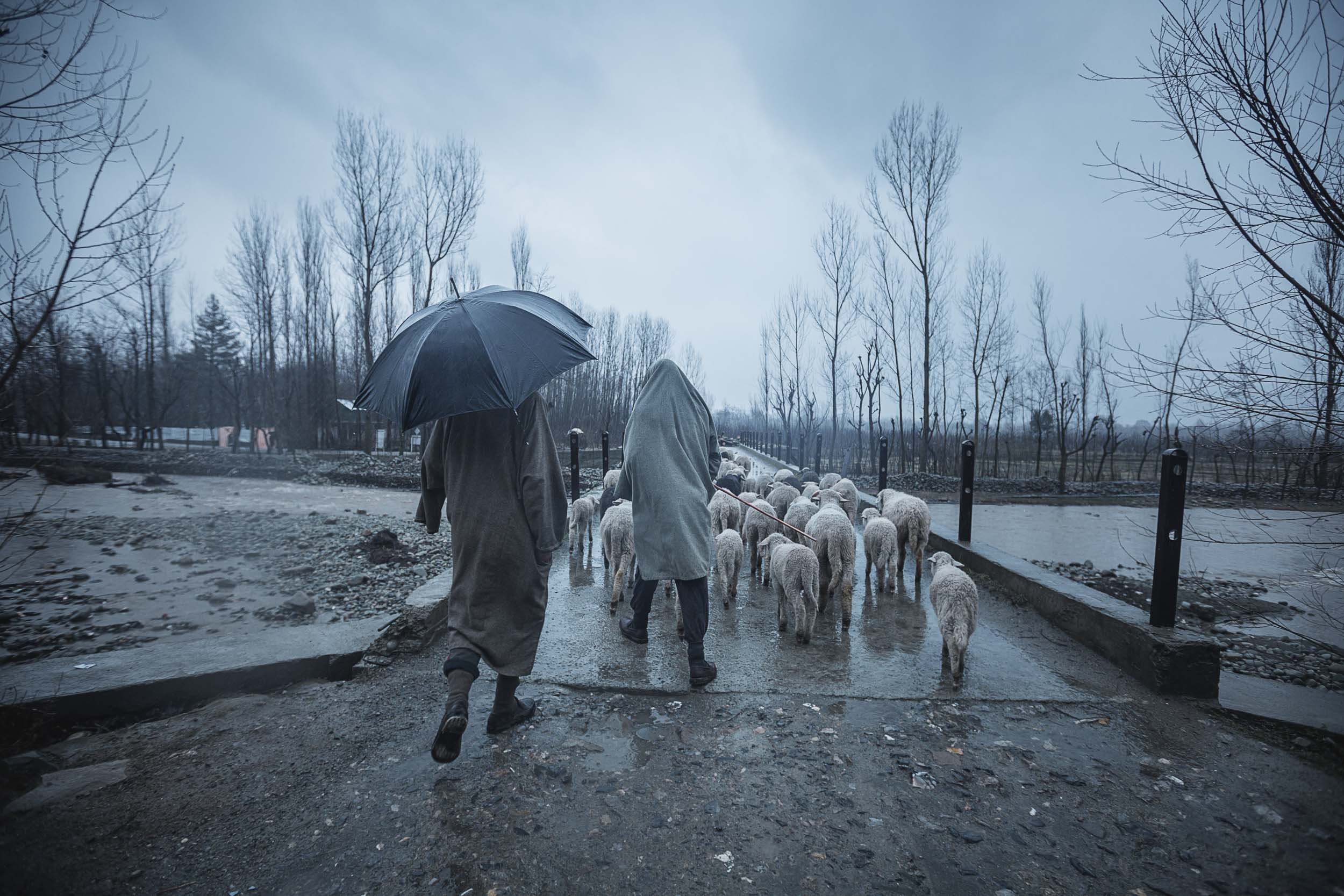 Sindhur_Photography_Travel_Nature_Kashmir-13.JPG