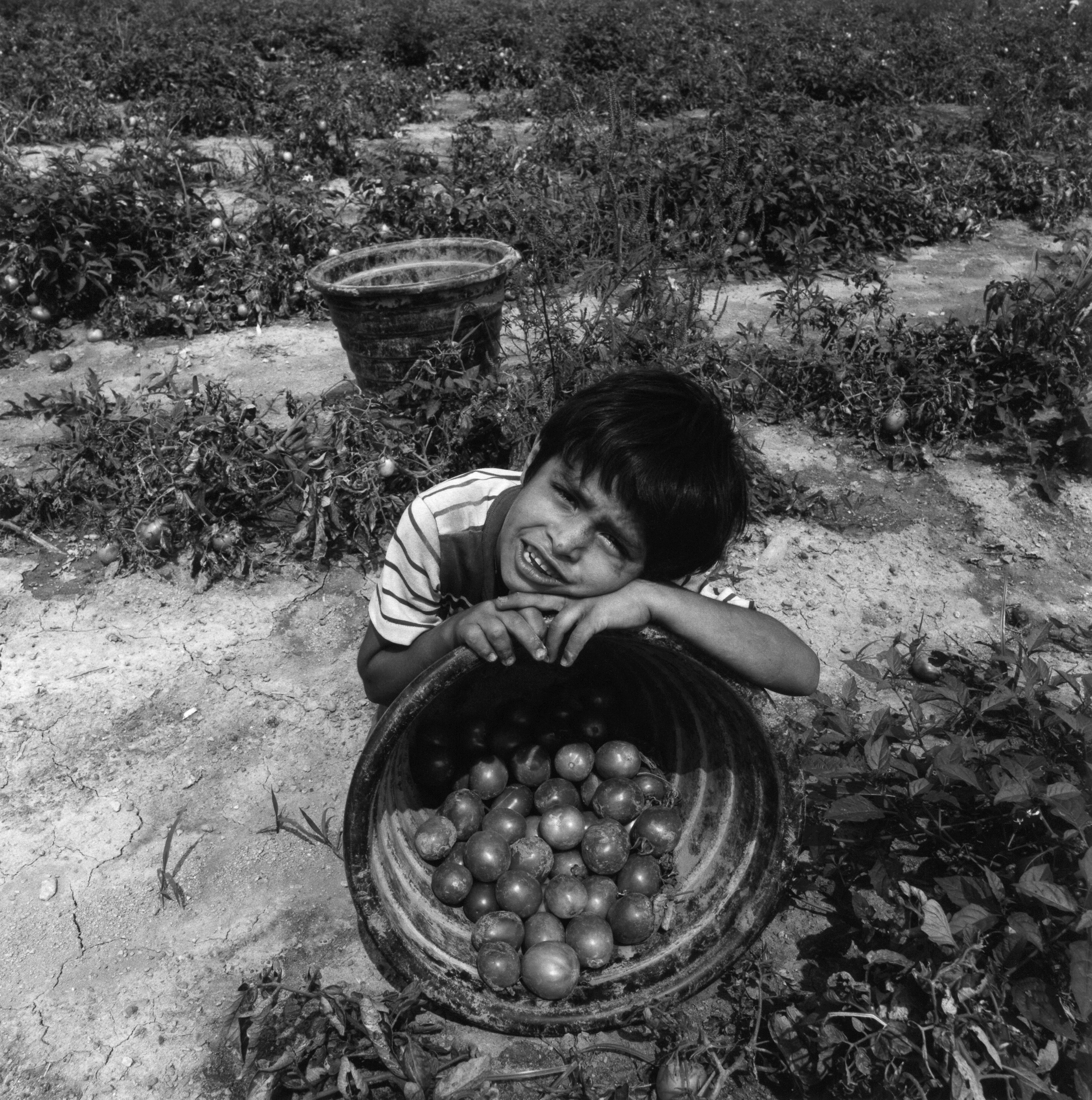 KL-FarmWorkers20-crop.jpg